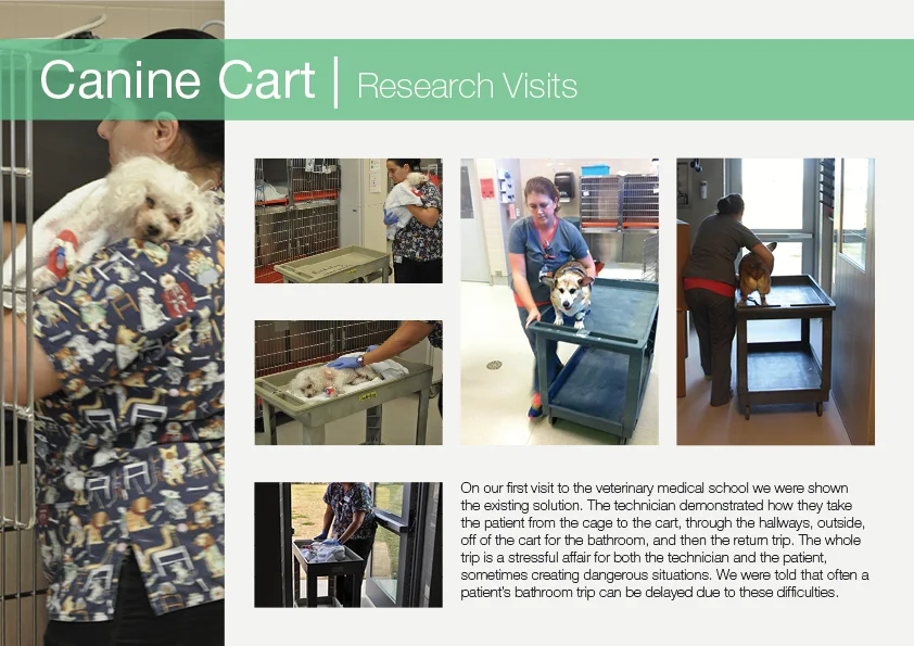 Veterinary Medicine Project V12.jpg