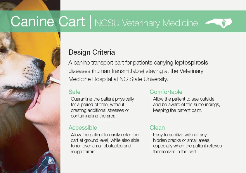Veterinary Medicine Project V1.jpg