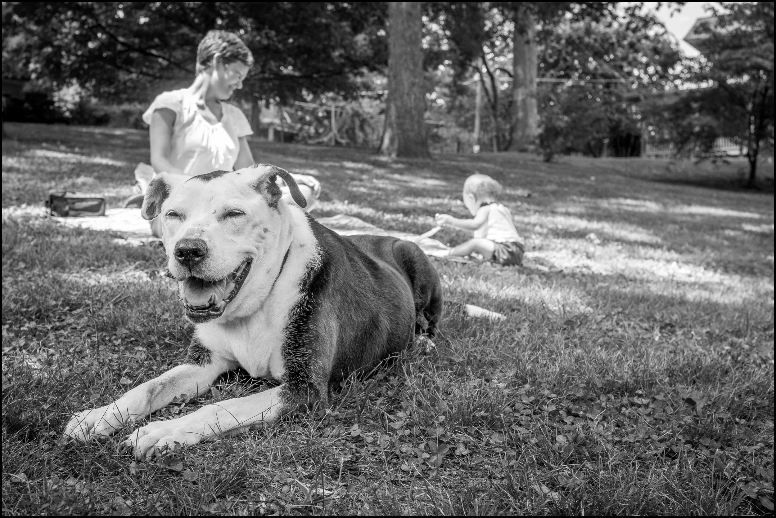 a final visit to the park so she could be outside and off leash a bit