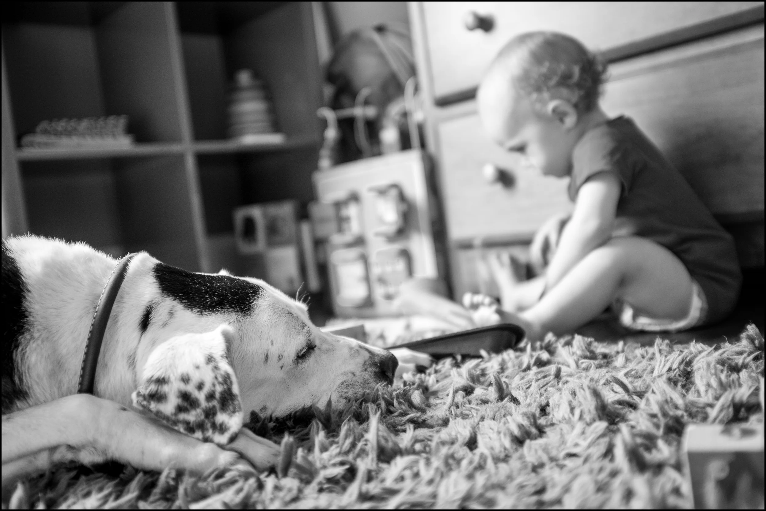 she loves the kid's room the most