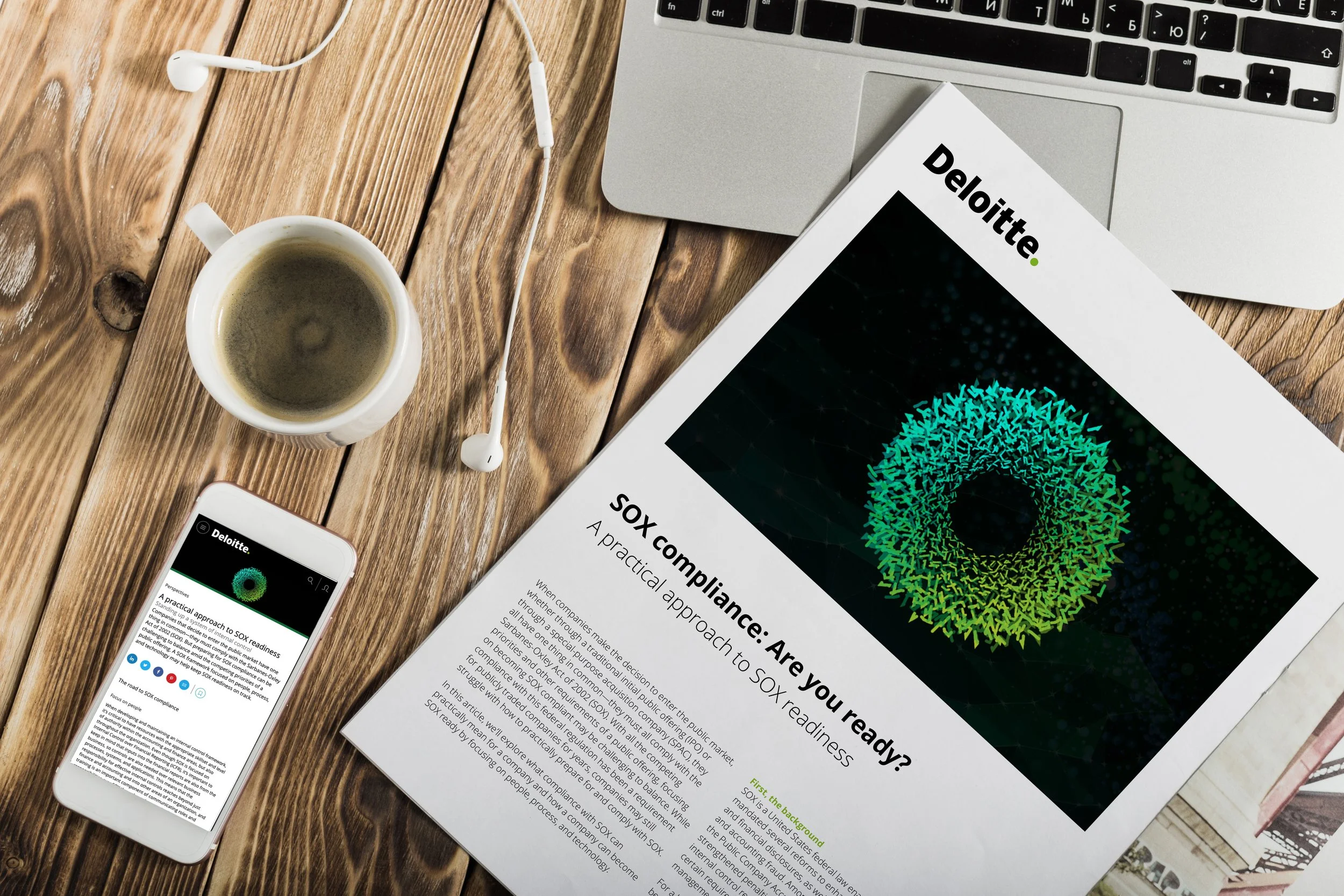 Pratical approach to SOX.jpg