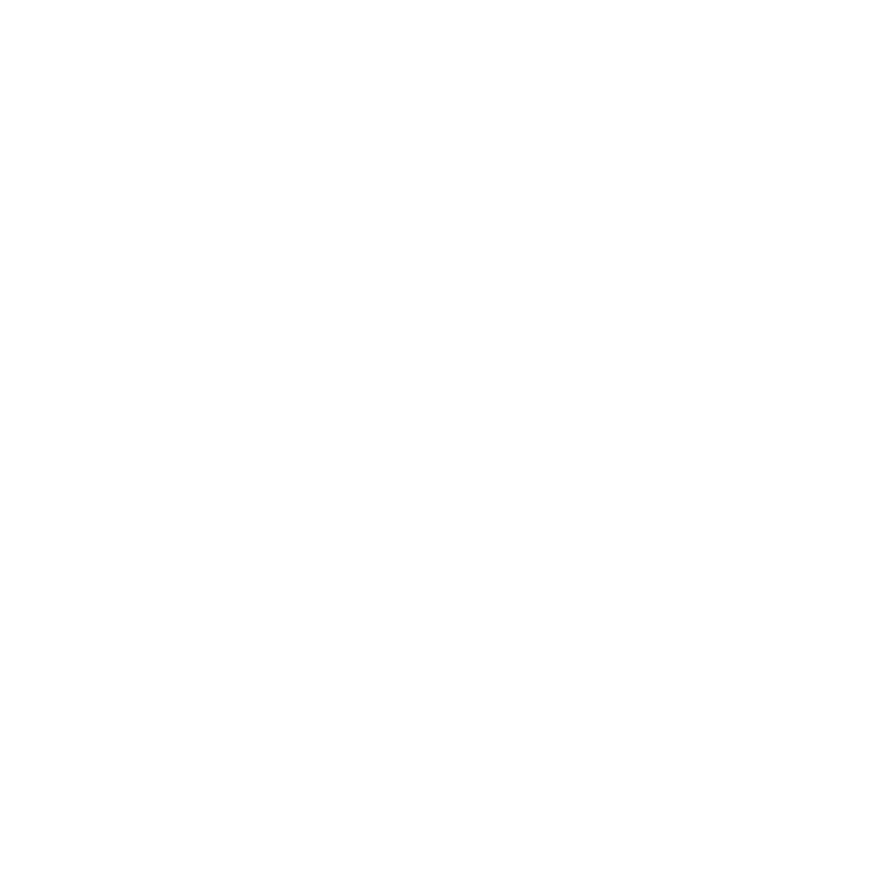 BW Logo 3.5 (transparent white).png