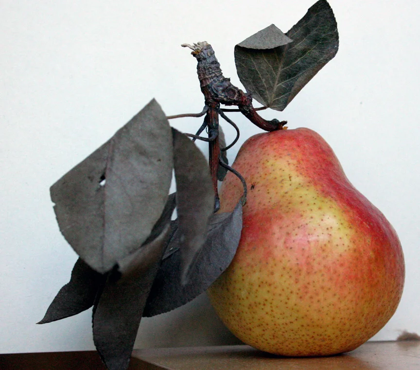 pear.jpg
