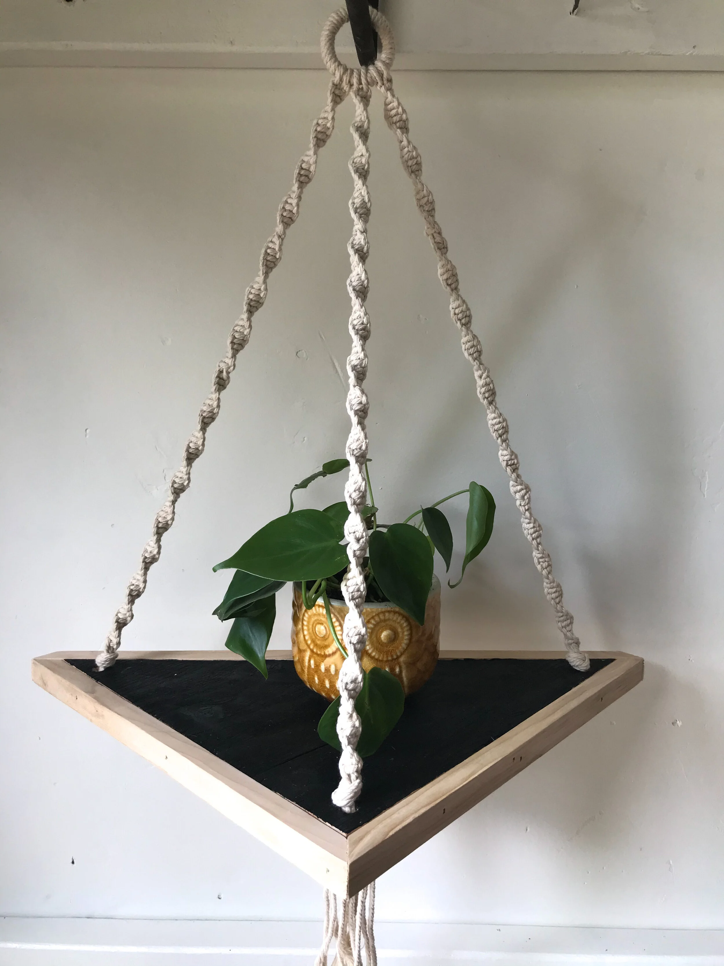 White and Blush .JPG