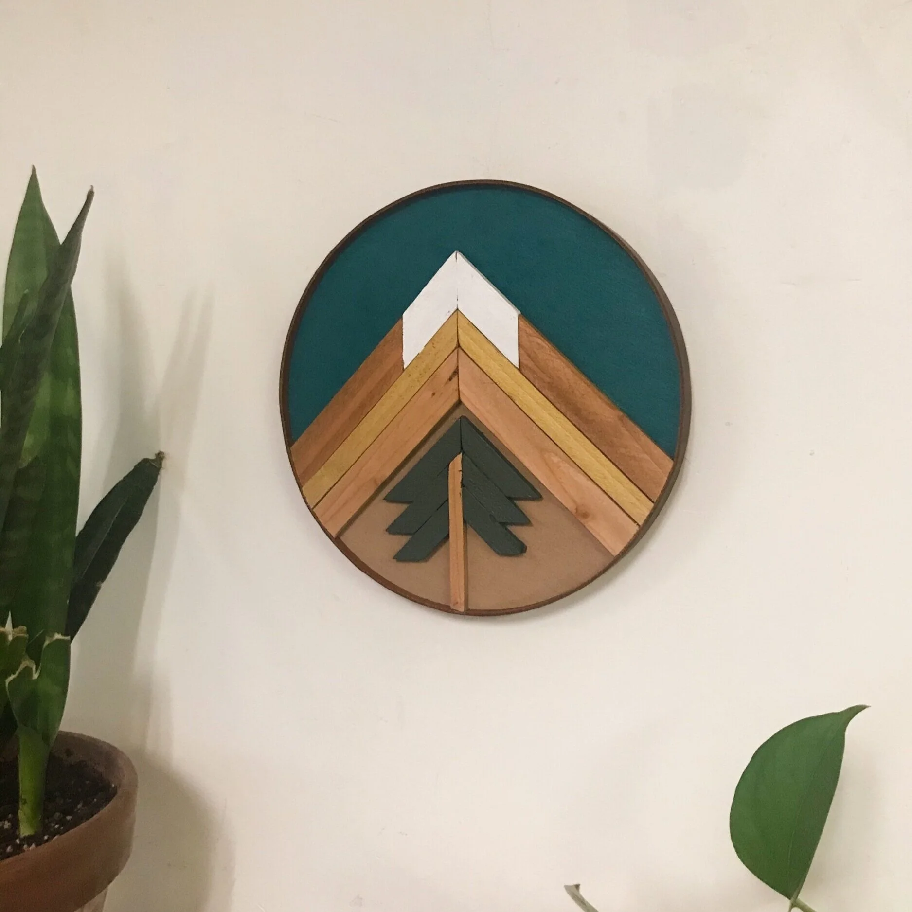 1E60A47C-1332-4B56-8779-9FCA672531CD