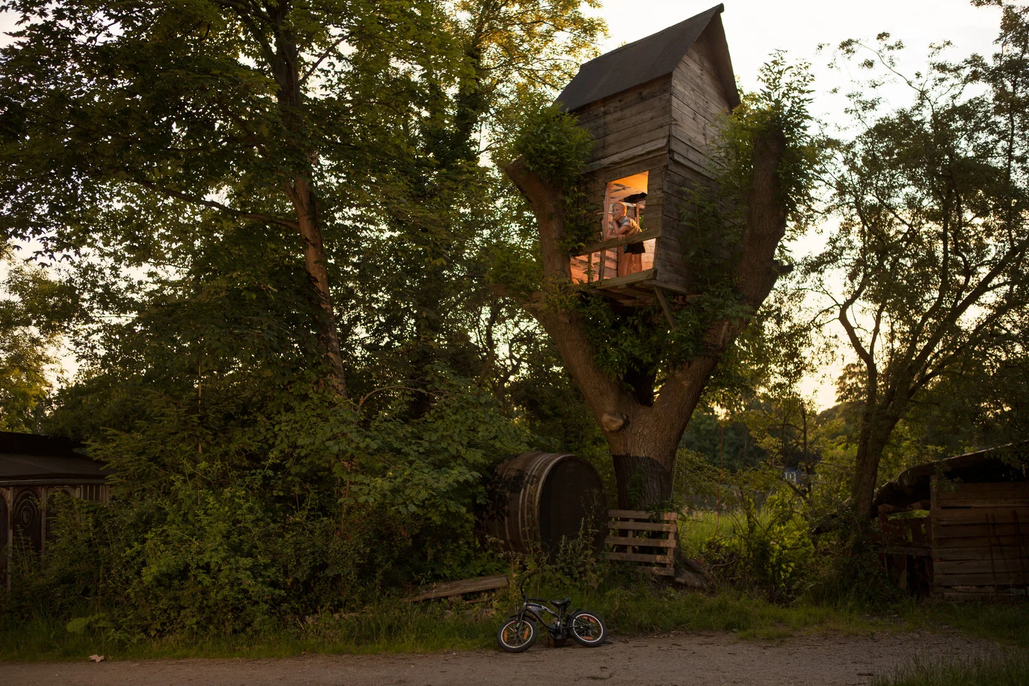 treehouse.jpg
