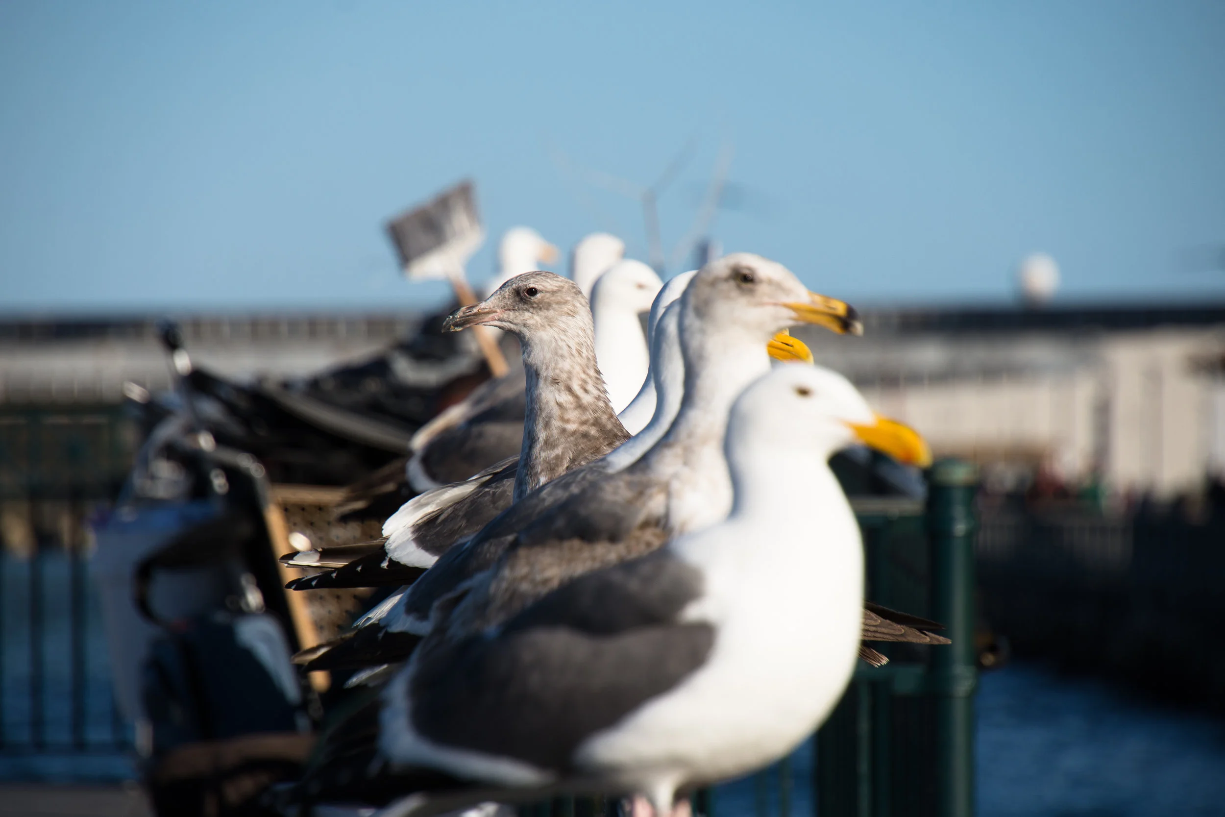 5 Questions to Define Your Personal Leadership Brand