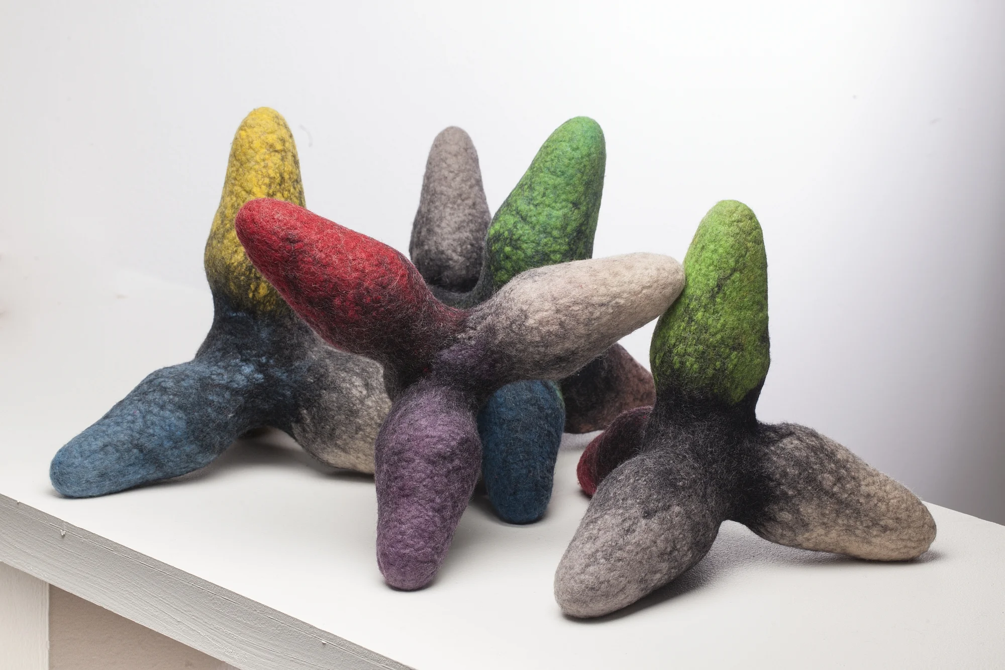 3_Ricketts-SL_Tetrapods-the-Giants-Jacks-1_2013.jpg