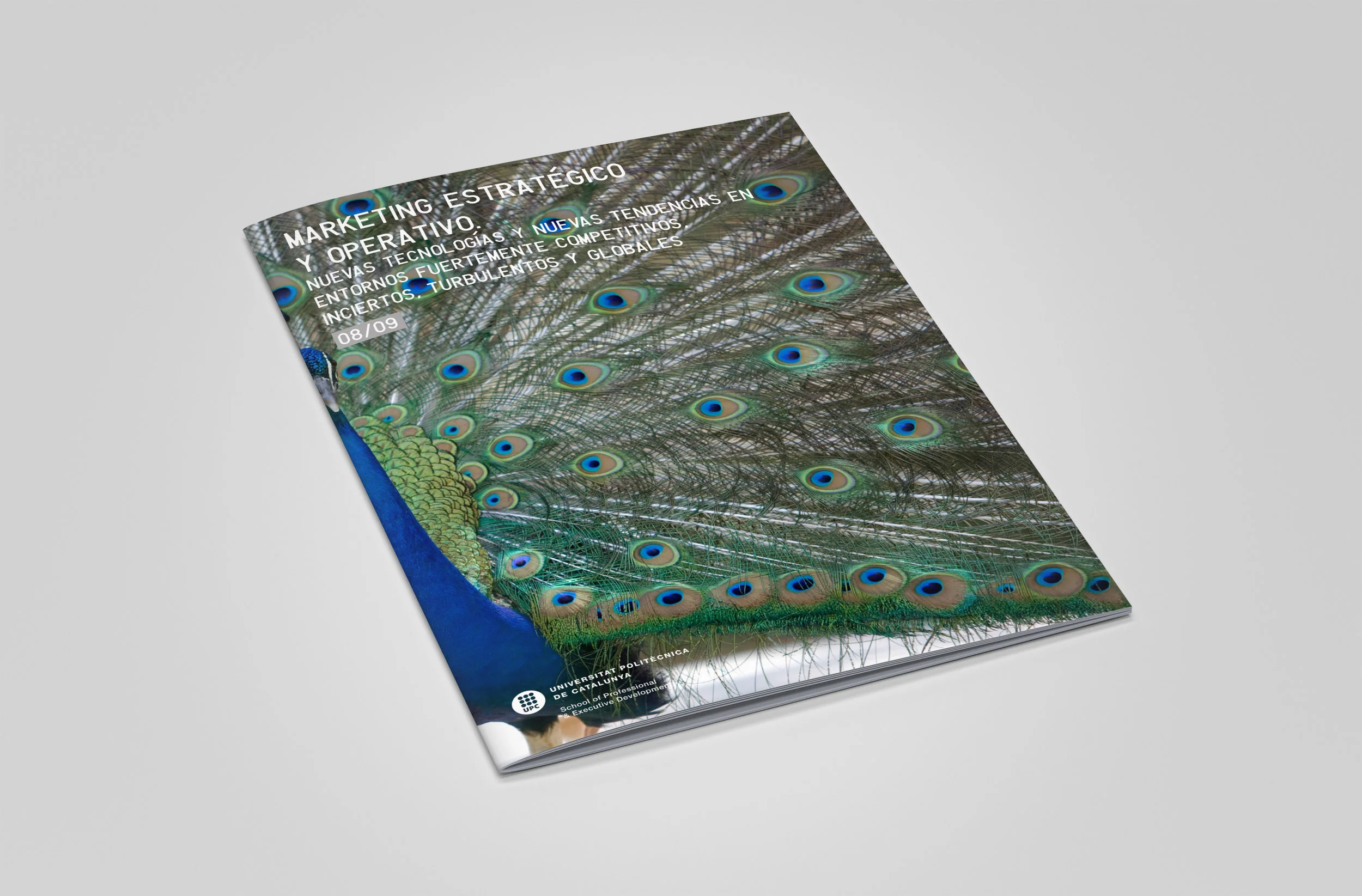 MARKETING_Brochure.jpg