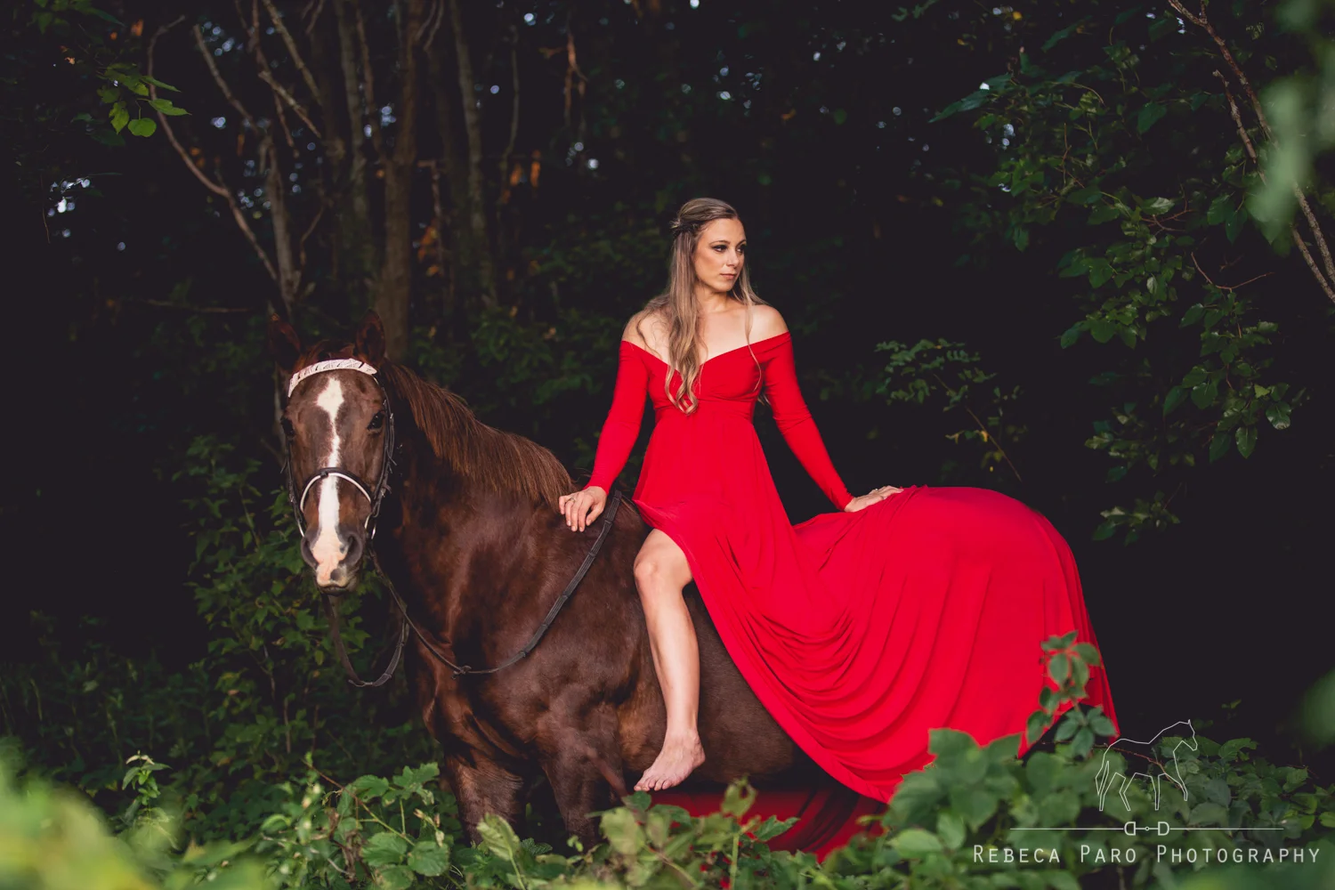 Horse Portraits in Wisconsin