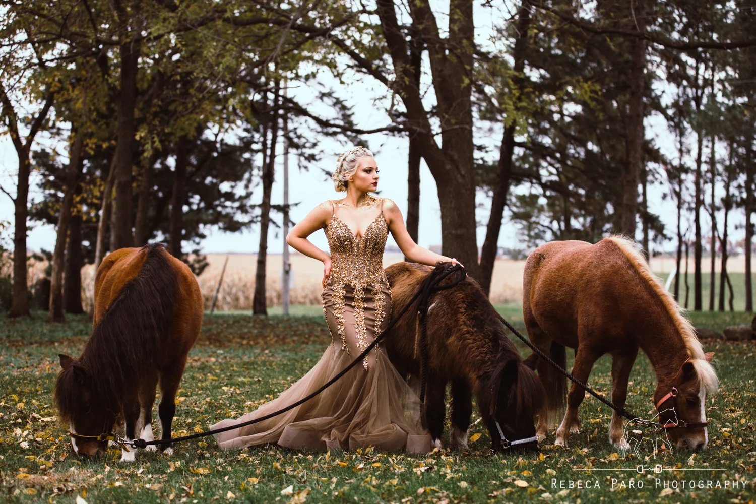 Golden Horse 
