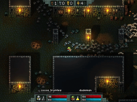 The End Result: Playing Hammerwatch using Invincibility Mode, Unlimited Mana Mode, and a Custom Multi-Arrow Spin Attack