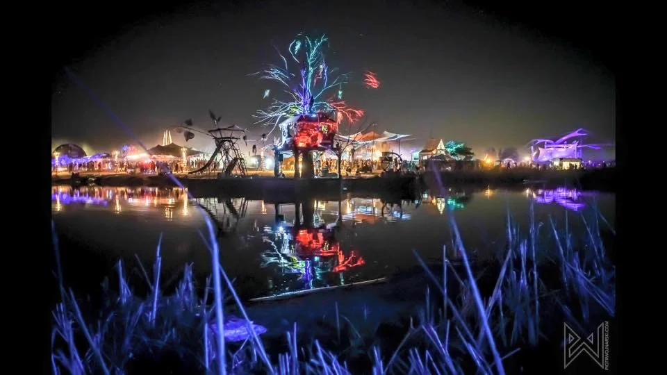 Treehouse 2015 neon.jpg