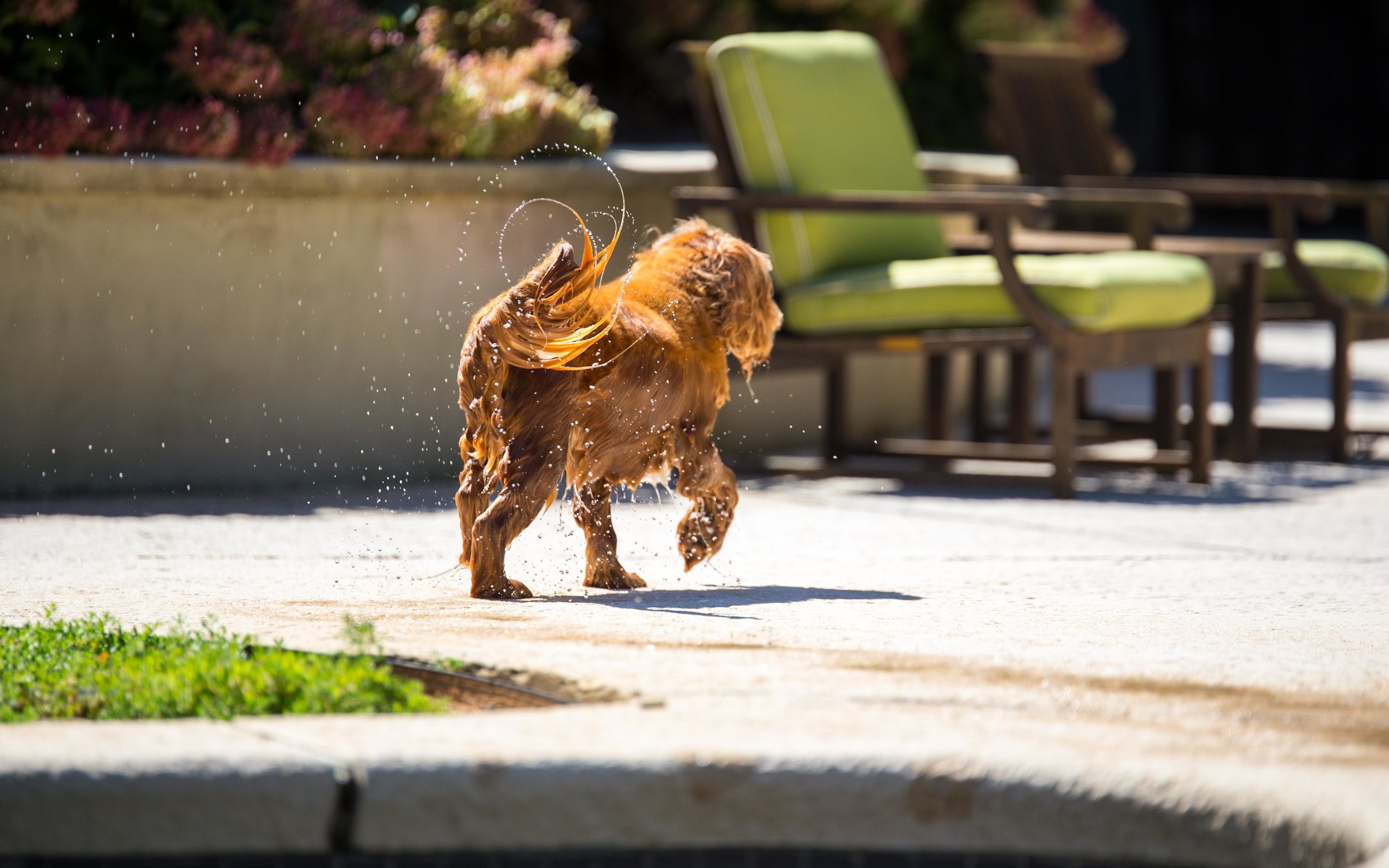 Bailey - Photo by Benjamin Robson -6515.jpg