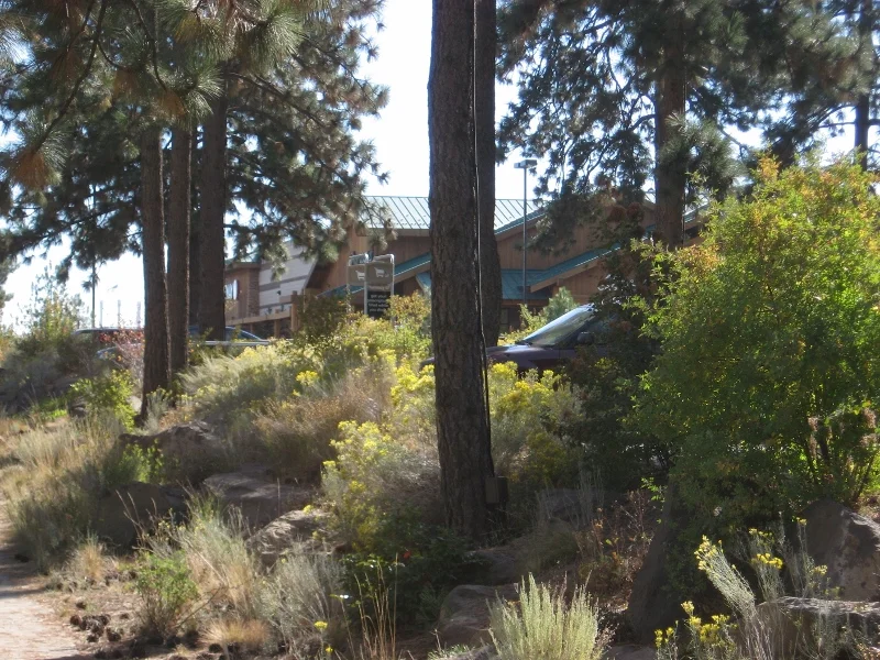 Century Park / Safeway
