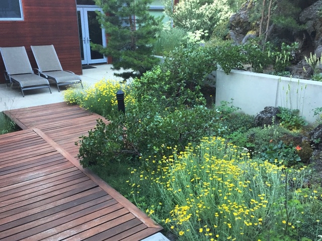 Front Courtyard, Bobrick Residence, Bend, Oregon