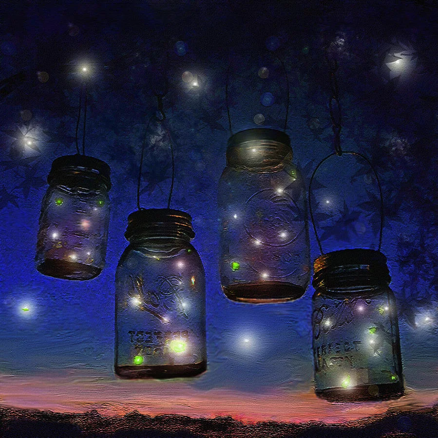 one-summer-night-with-fireflies-jane-schnetlage.jpg