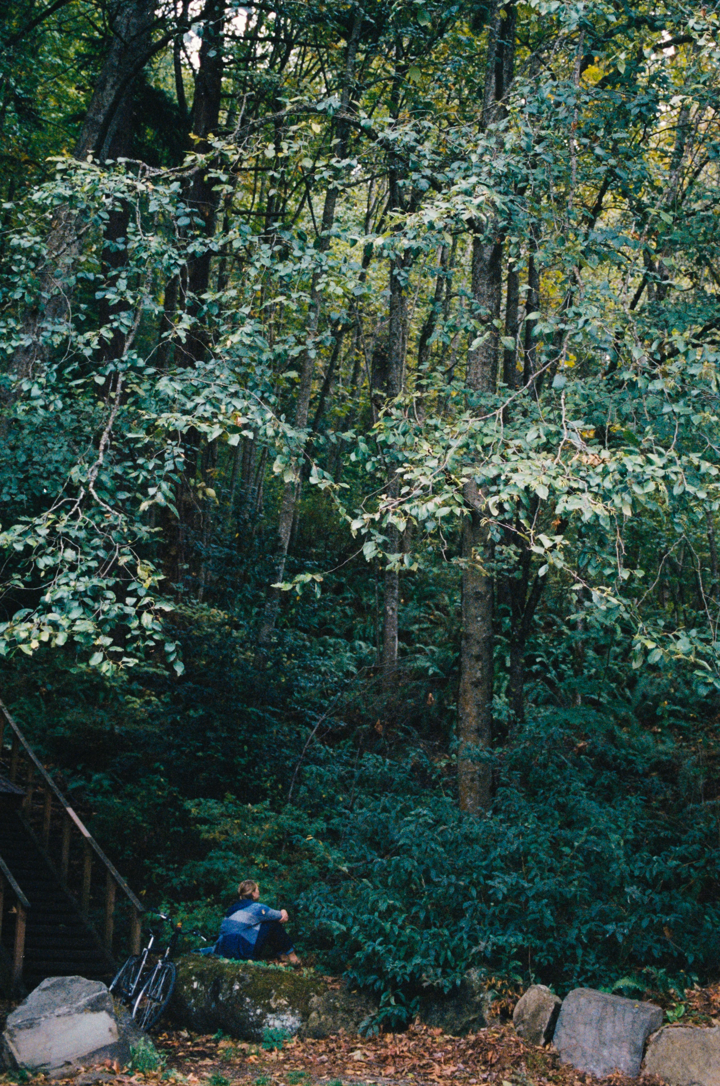 Arroyo_Park035.jpg