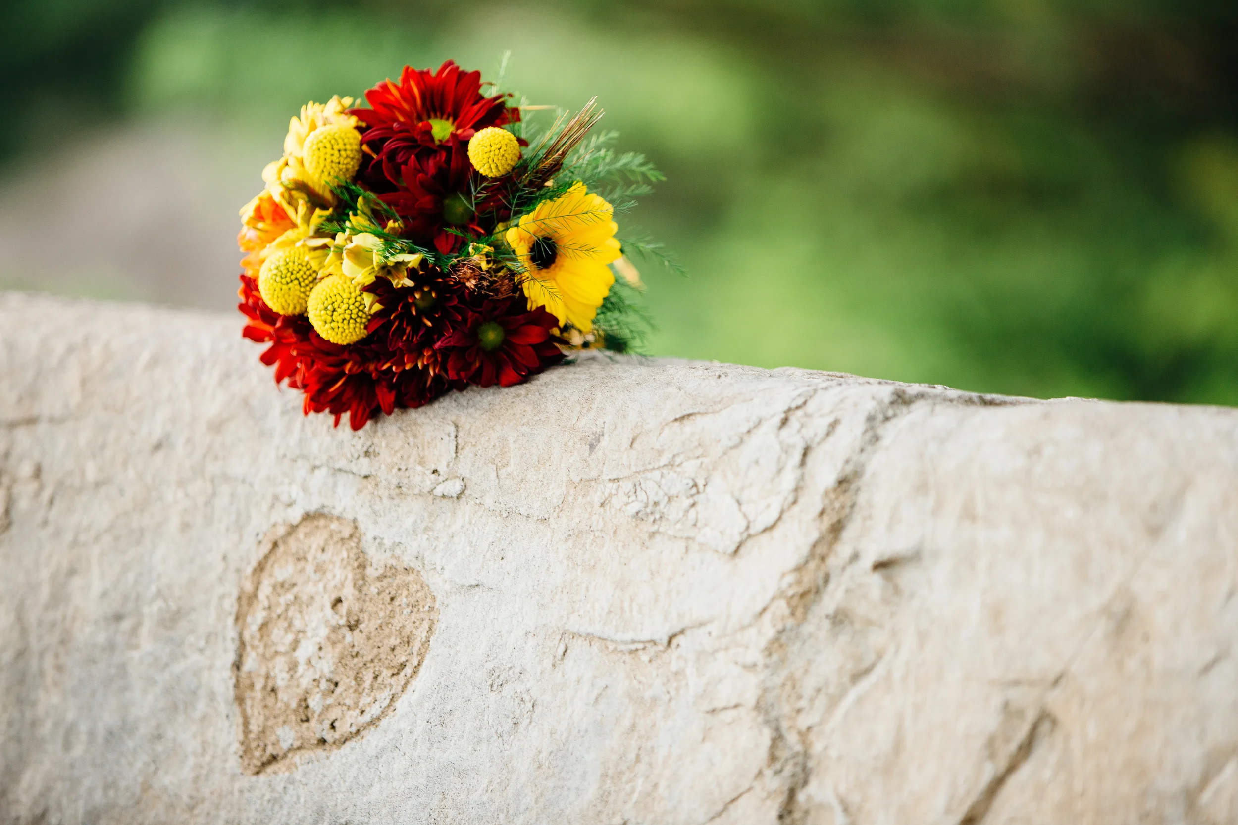 Carol_Phillip_Wedding118.jpg