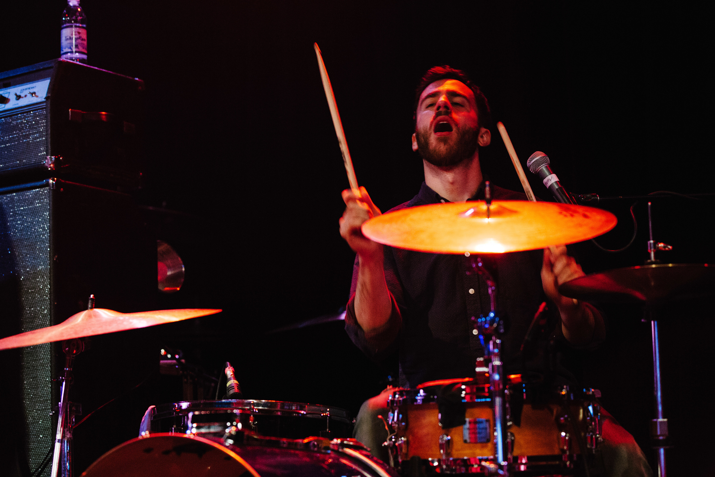 Pinegrove_9.jpg