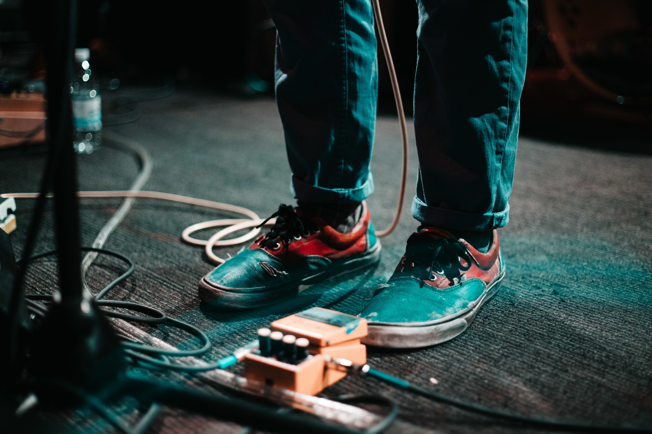 Pinegrove_18.jpg