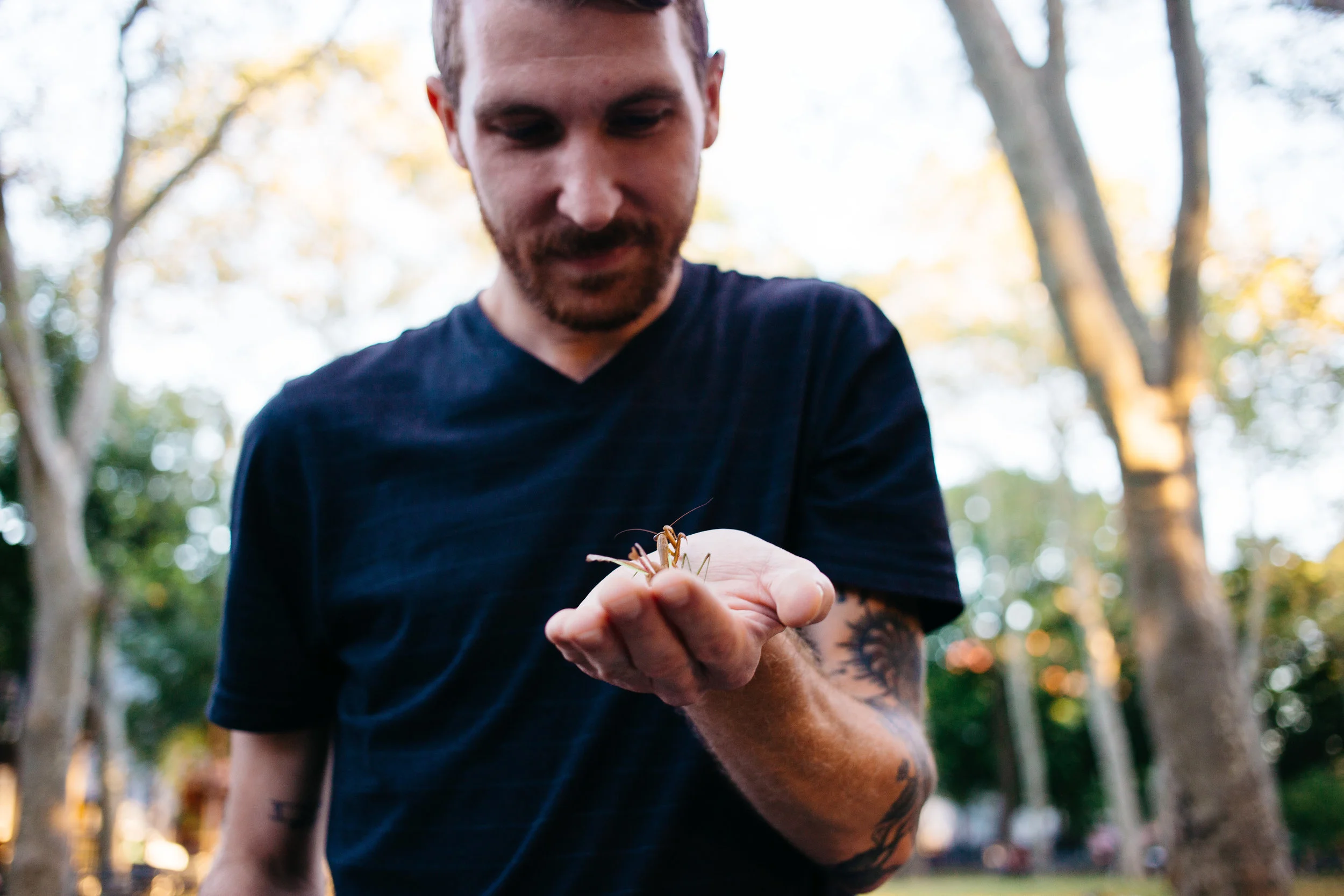 Steve holds a mantis in McGolrick Park.