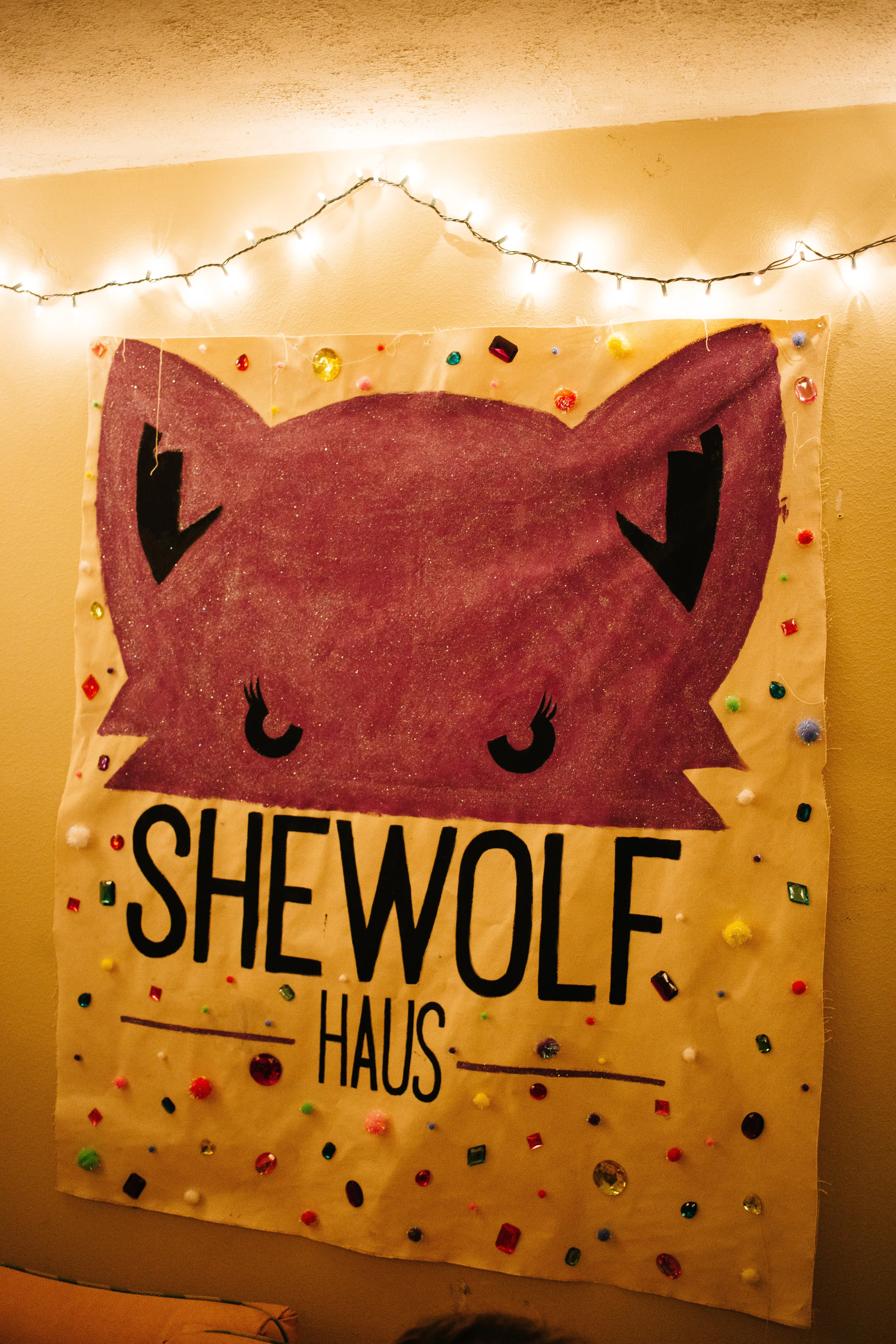 A banner hung in the living room of the Shewolf Haus. 
