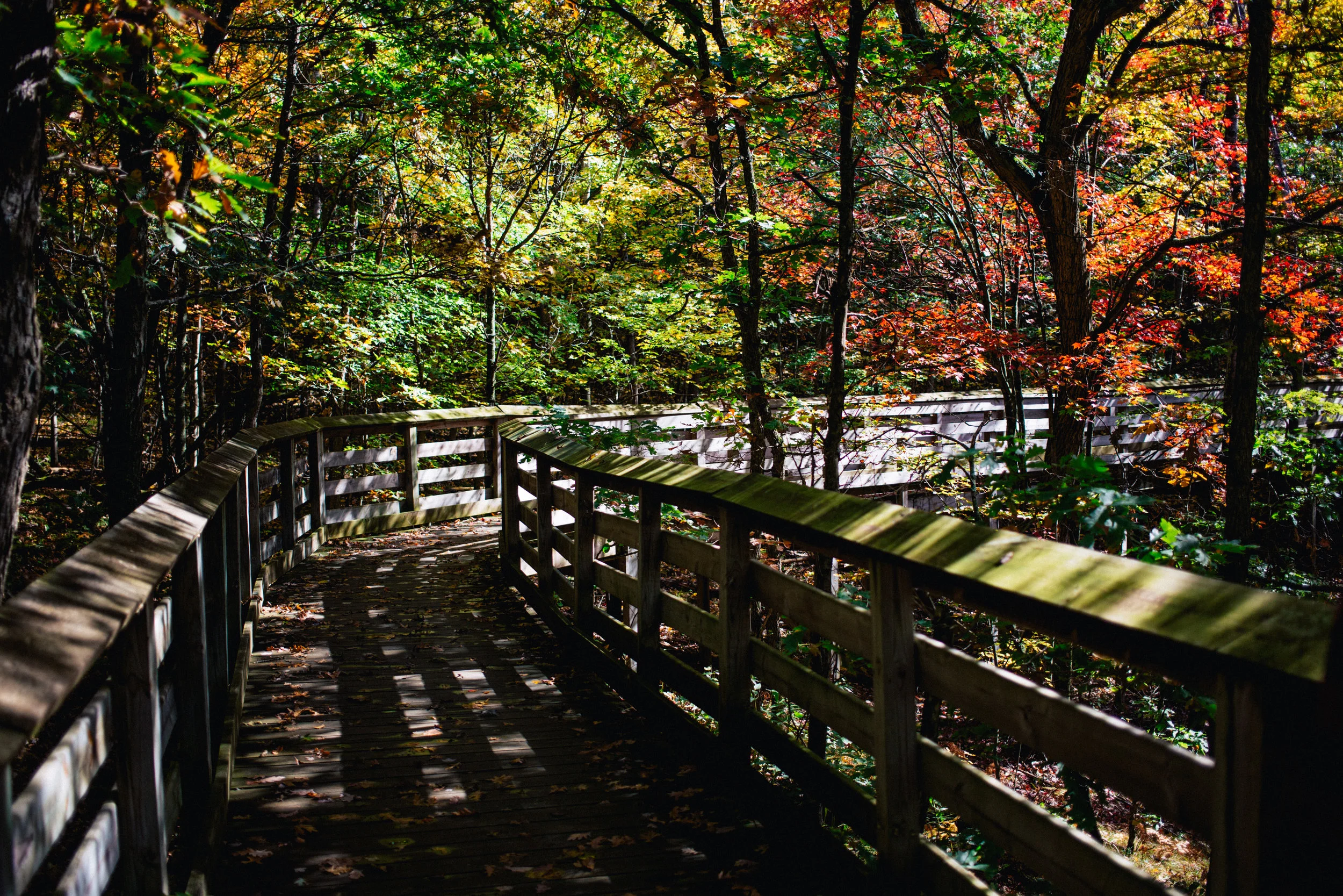 During our drive we pulled over at a rest stop and took a scenic walk the rest stop had. 