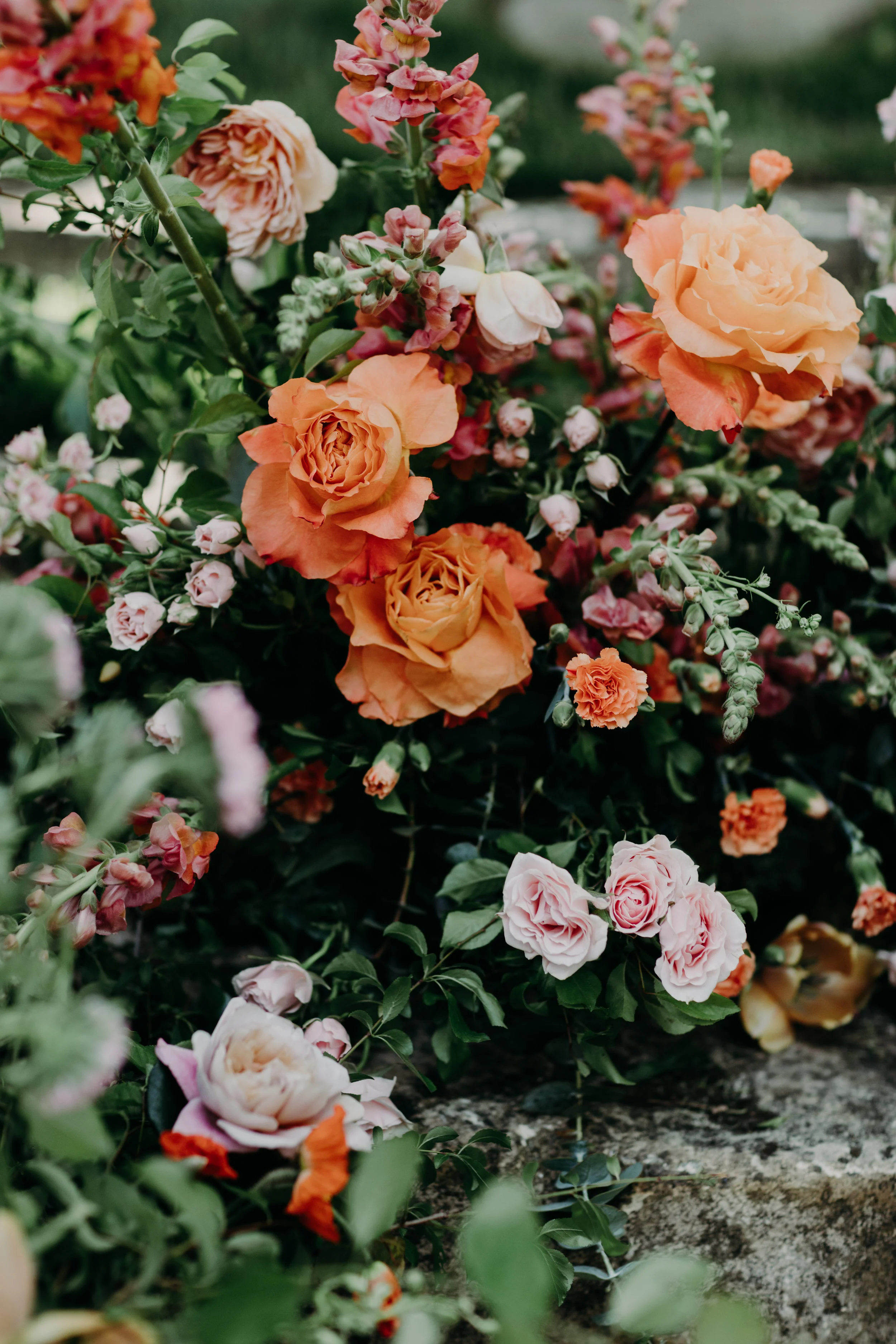 jarrodjphoto-319.jpg