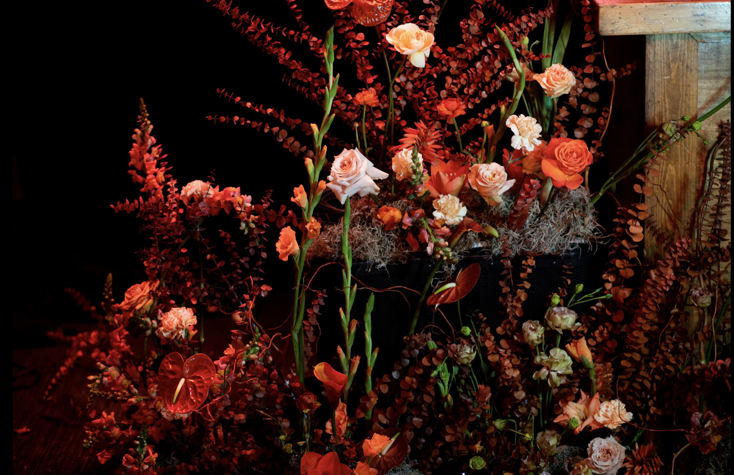 Screen Shot 2019-07-24 at 6.10.48 PM.png