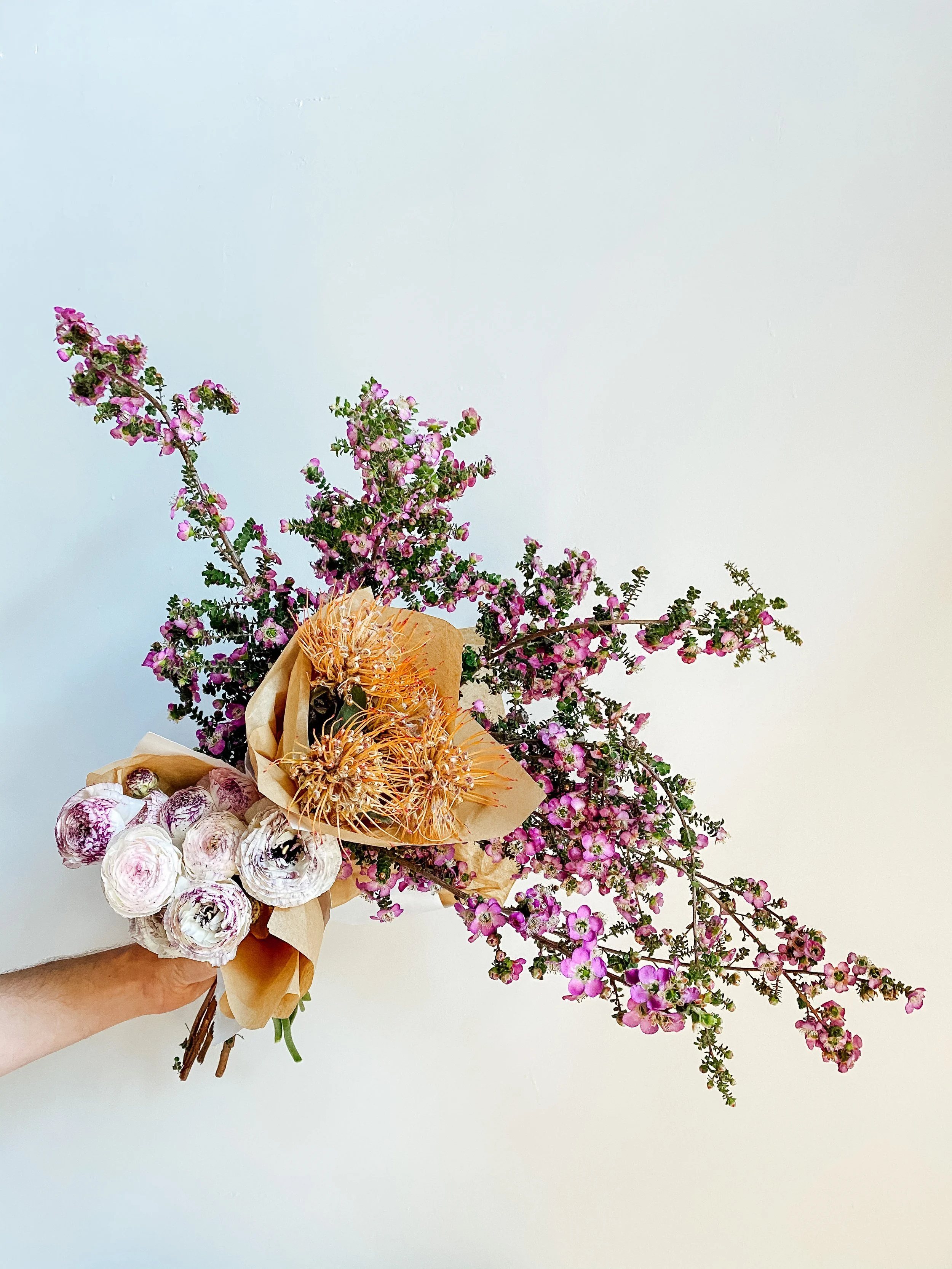Flowers, Plants, Gifts for Delivery + PickUp in San Francisco — Ampersand