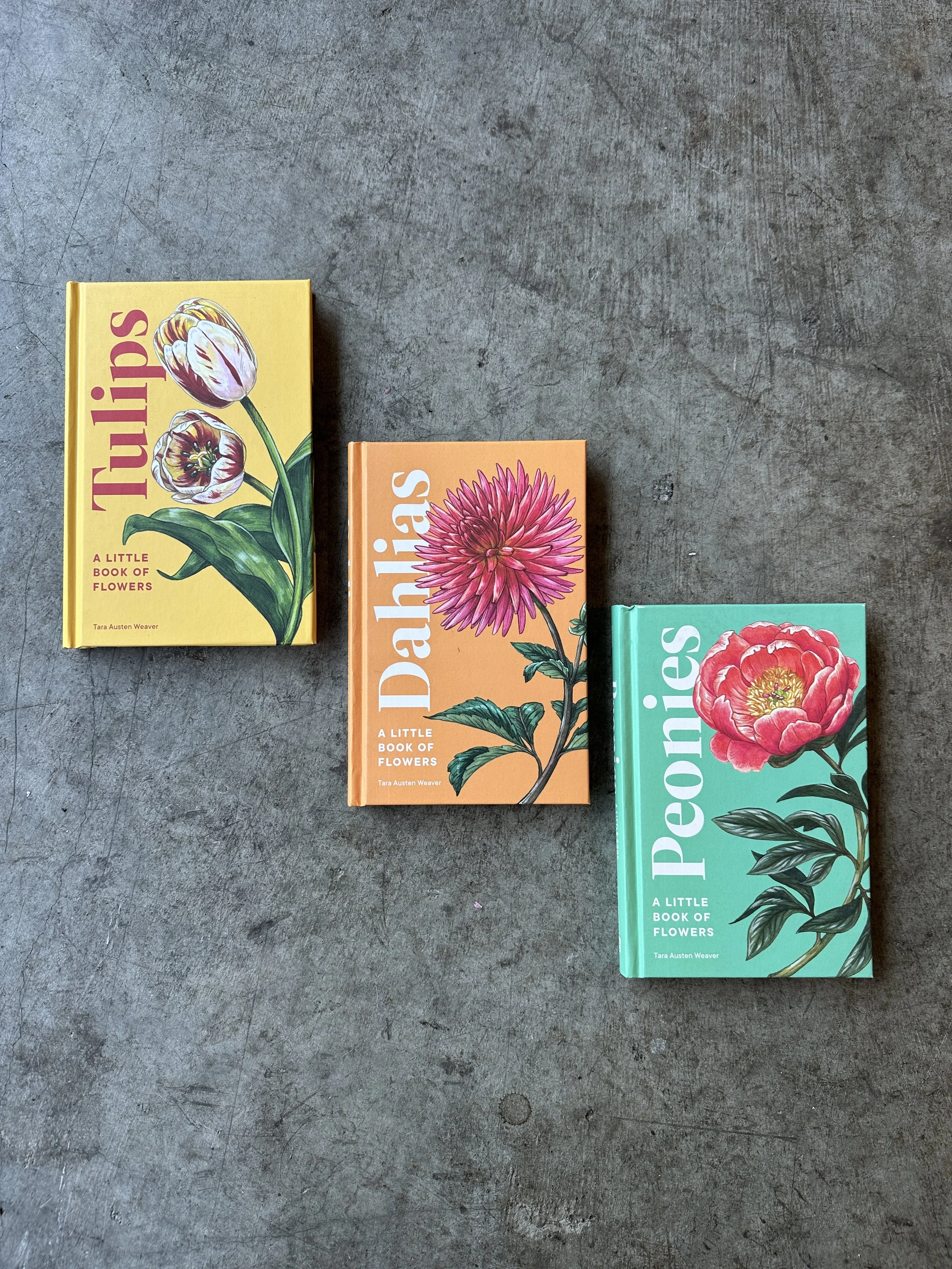 Little Book of Flowers // Shippable