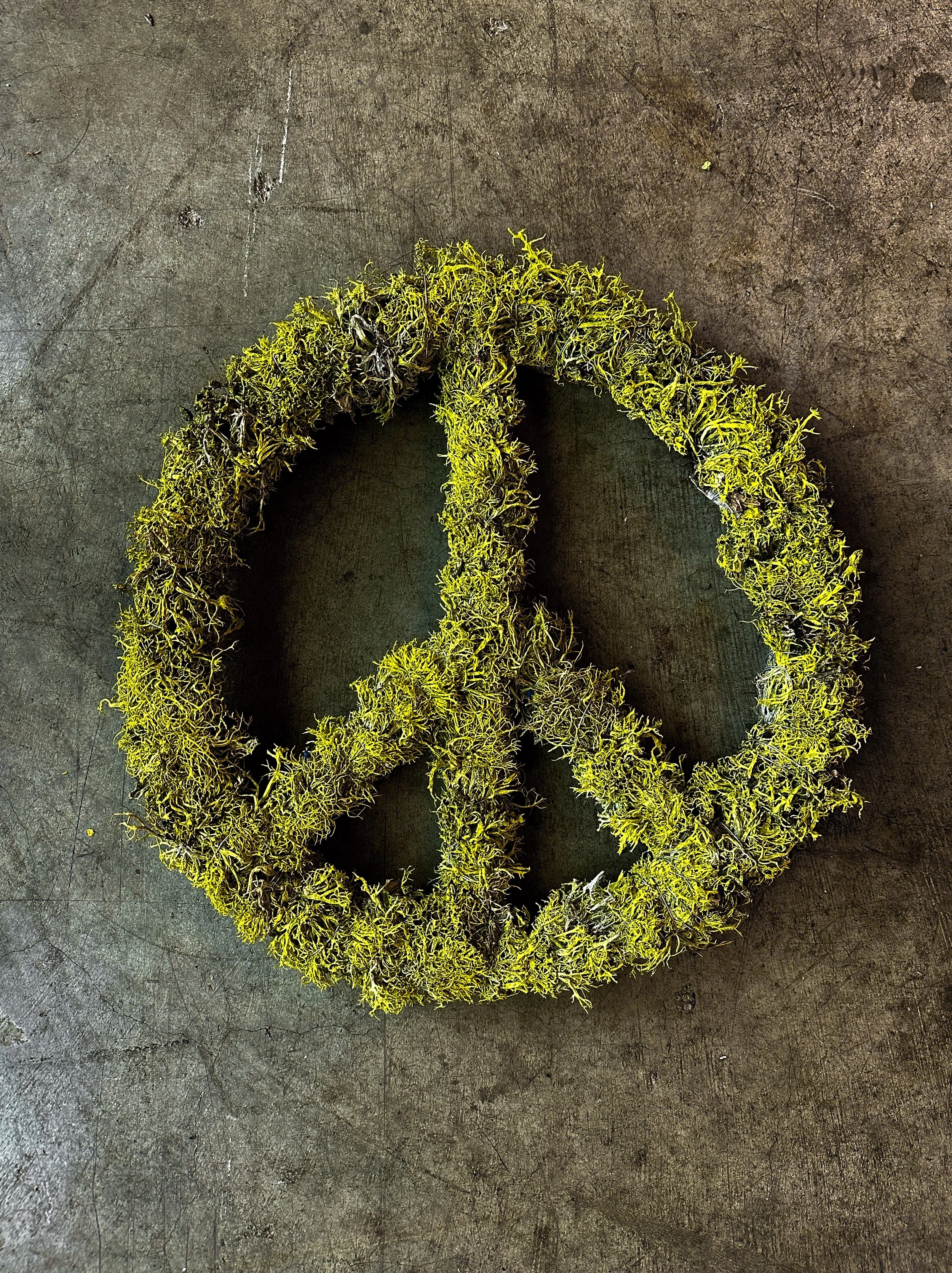 Peace Wreath (Includes a 15% Donation to the ACLU)