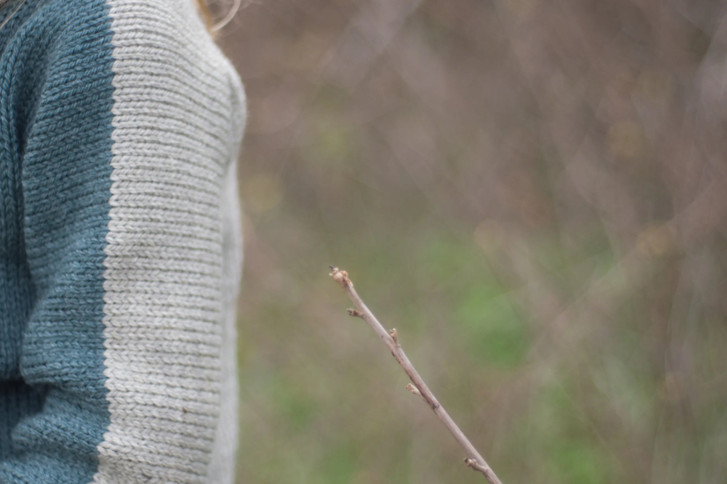 aw2016-1019877.jpg