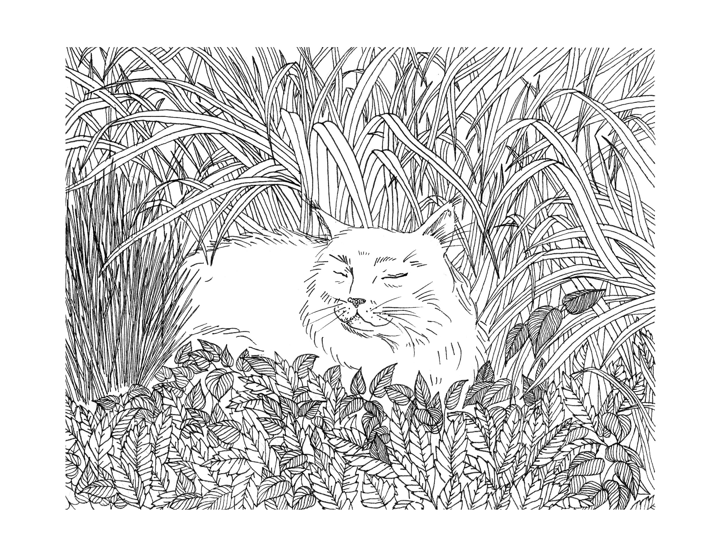  A Cat in Your Garden. 2015 