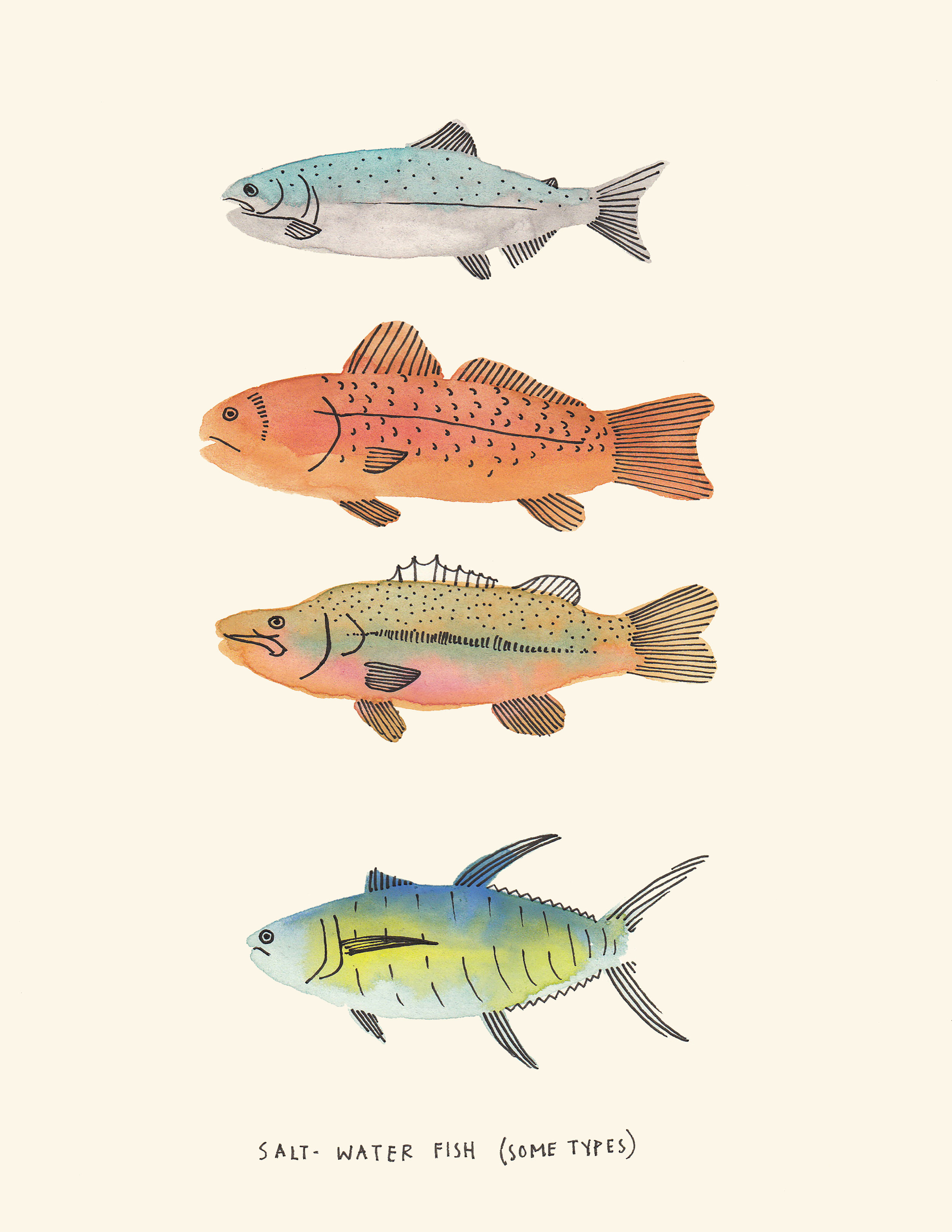  Some Types of Fish, 2015 