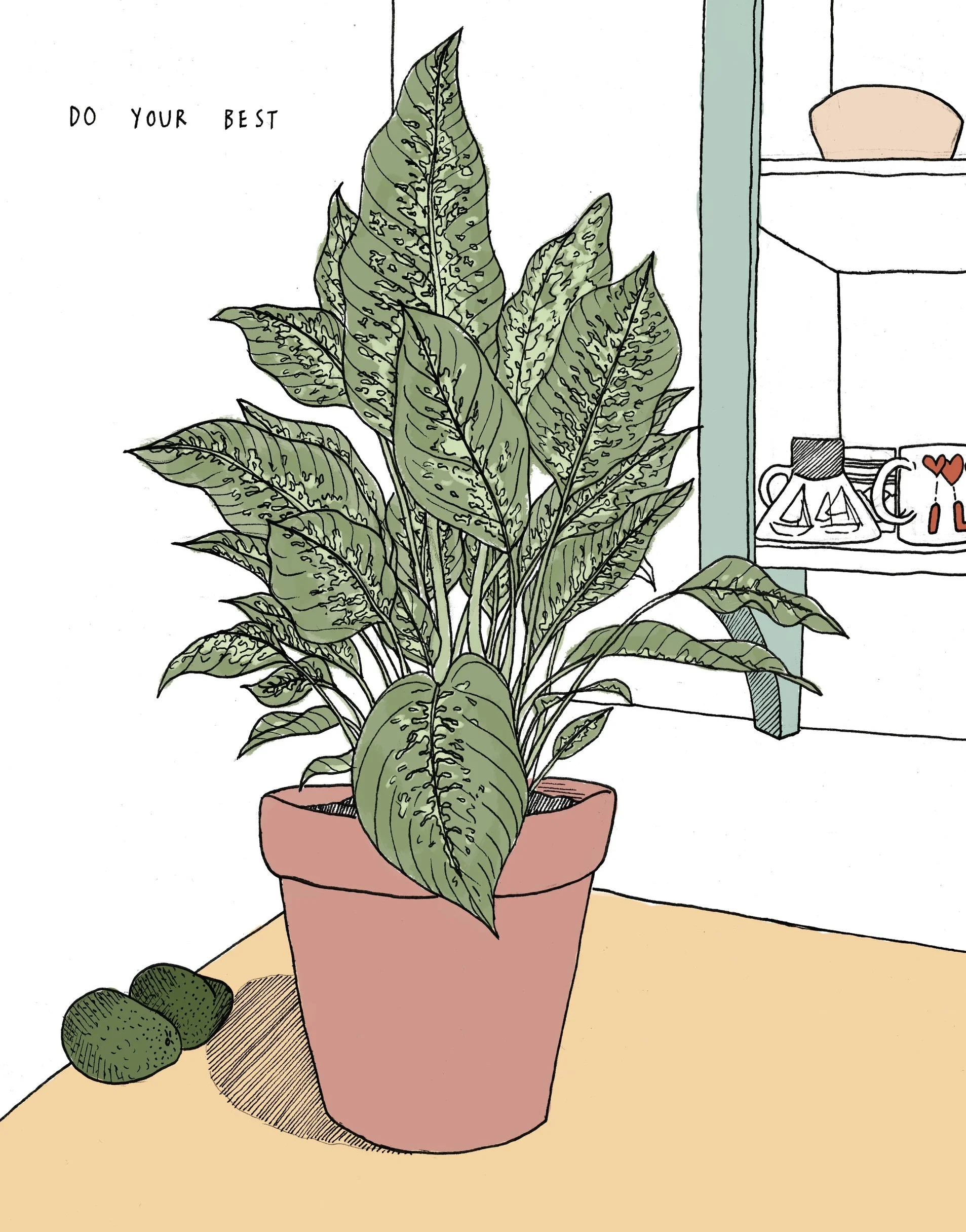 Mali's Plant. 2018