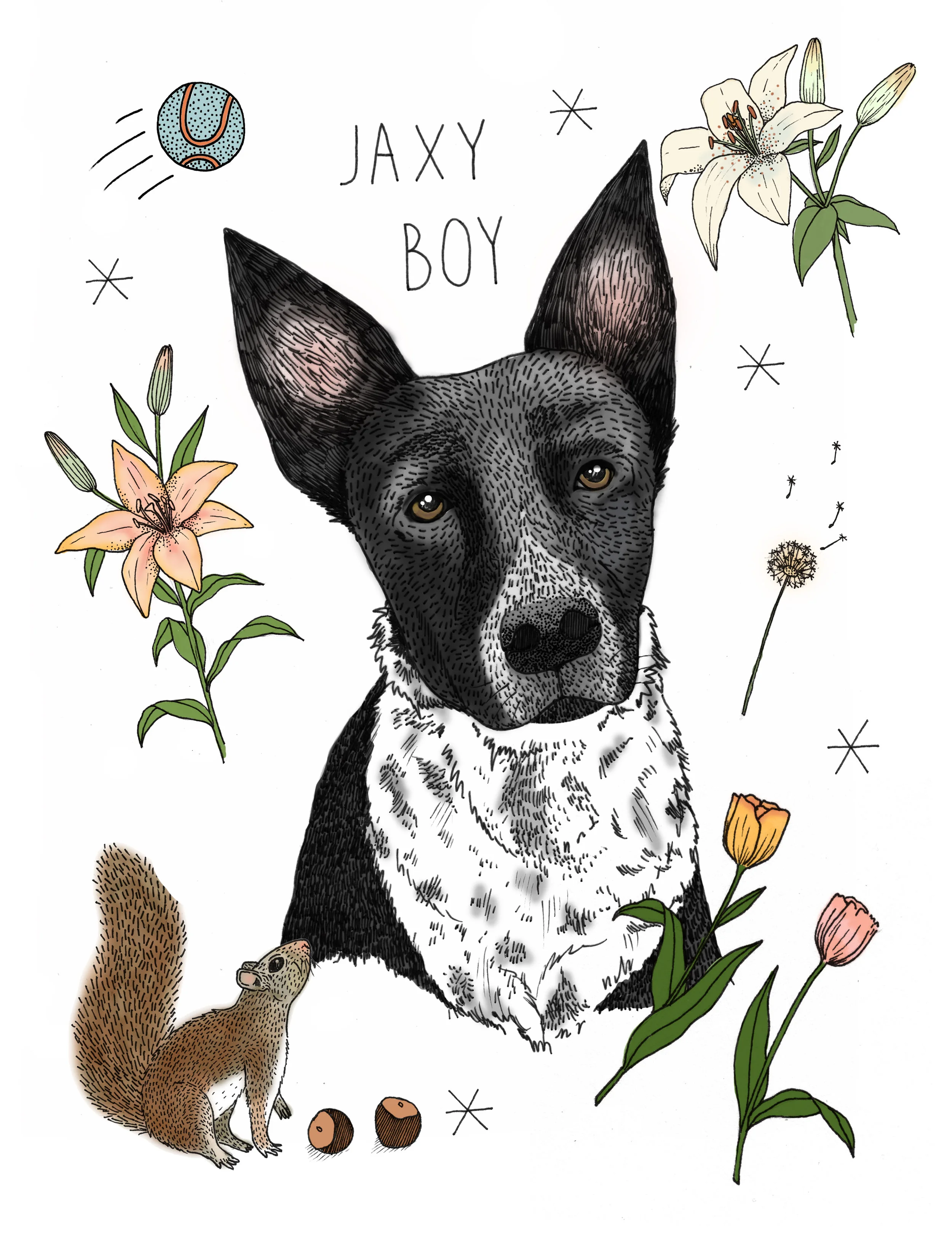 Pet Portrait, 2018