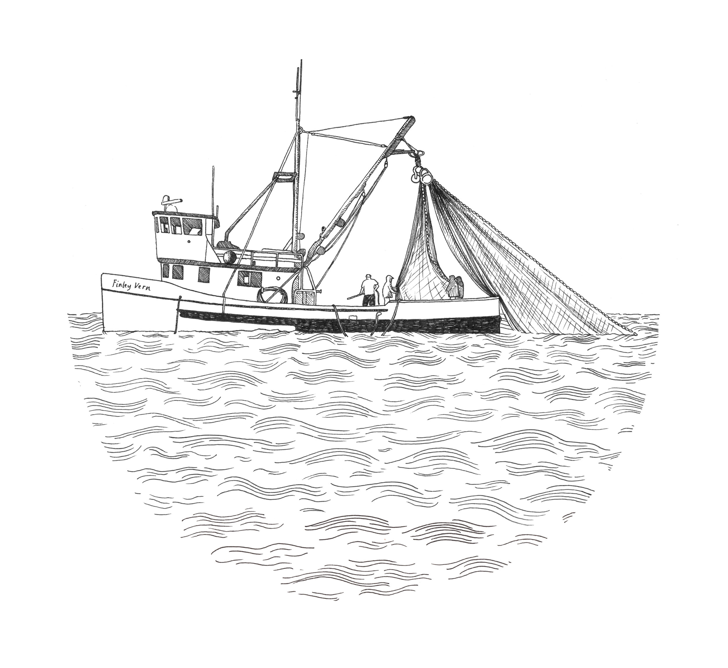 Illustration for logo design - Finley Vern Fish Co. 2020