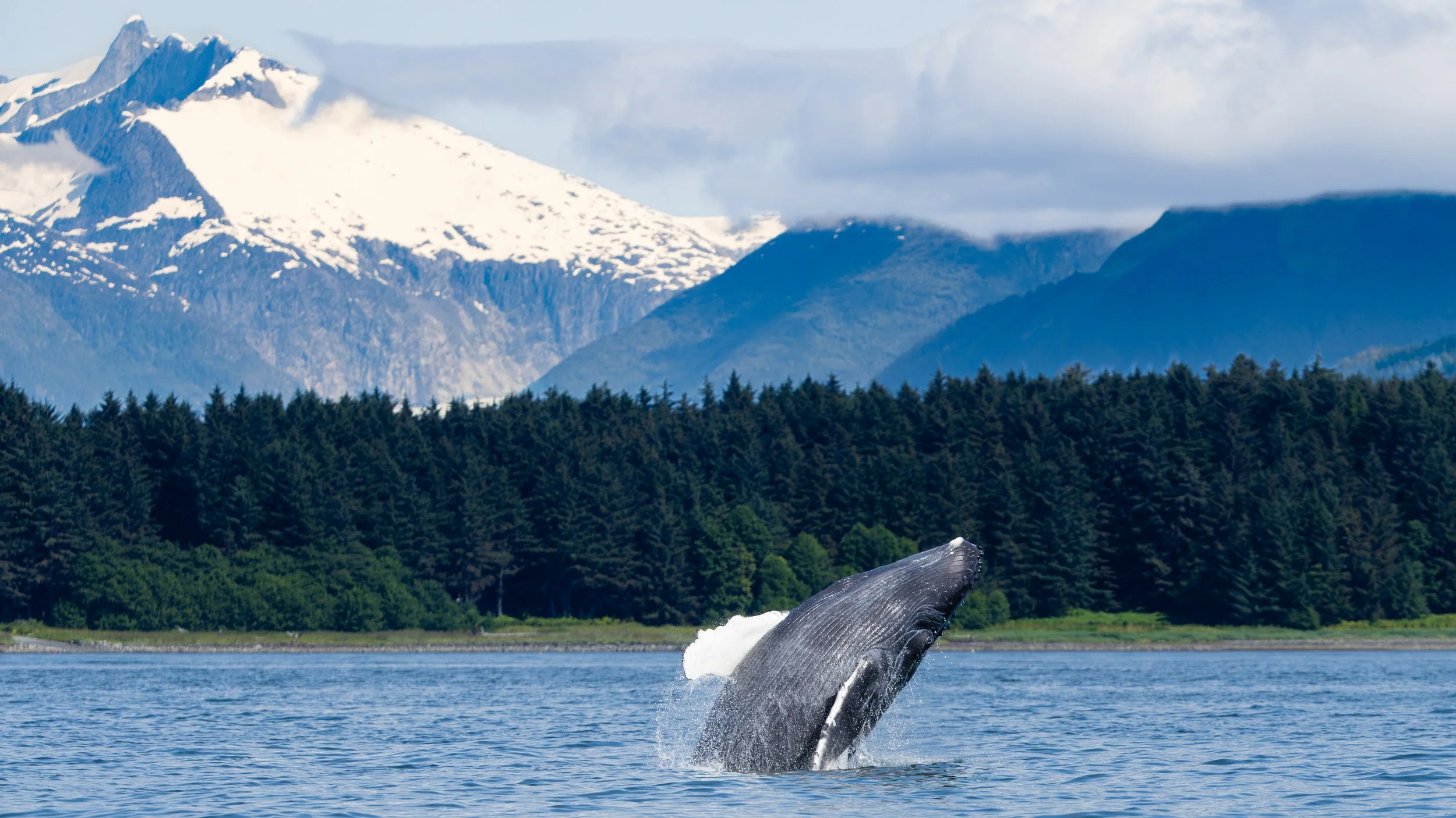 Between Ocean and Sky