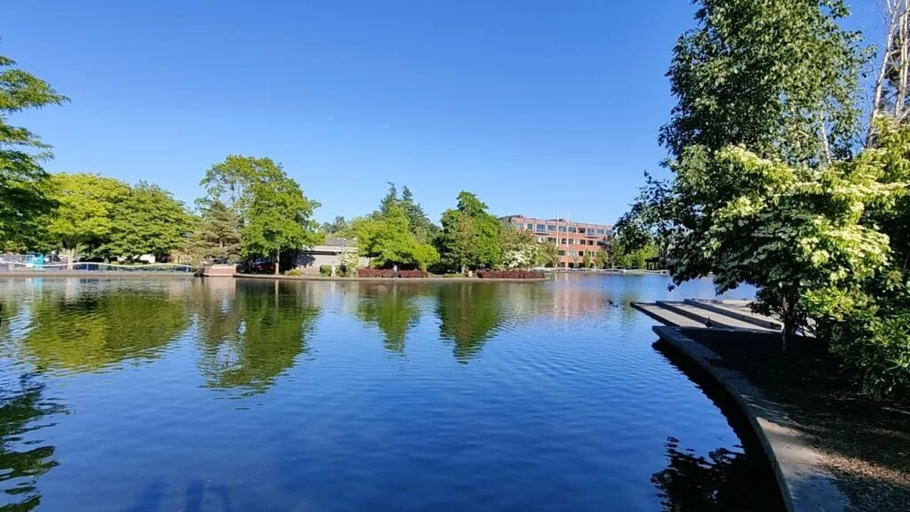 Sabroso Duo at Tualatin Lake of the Commons