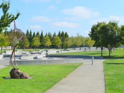 Sabroso - Music in the Park