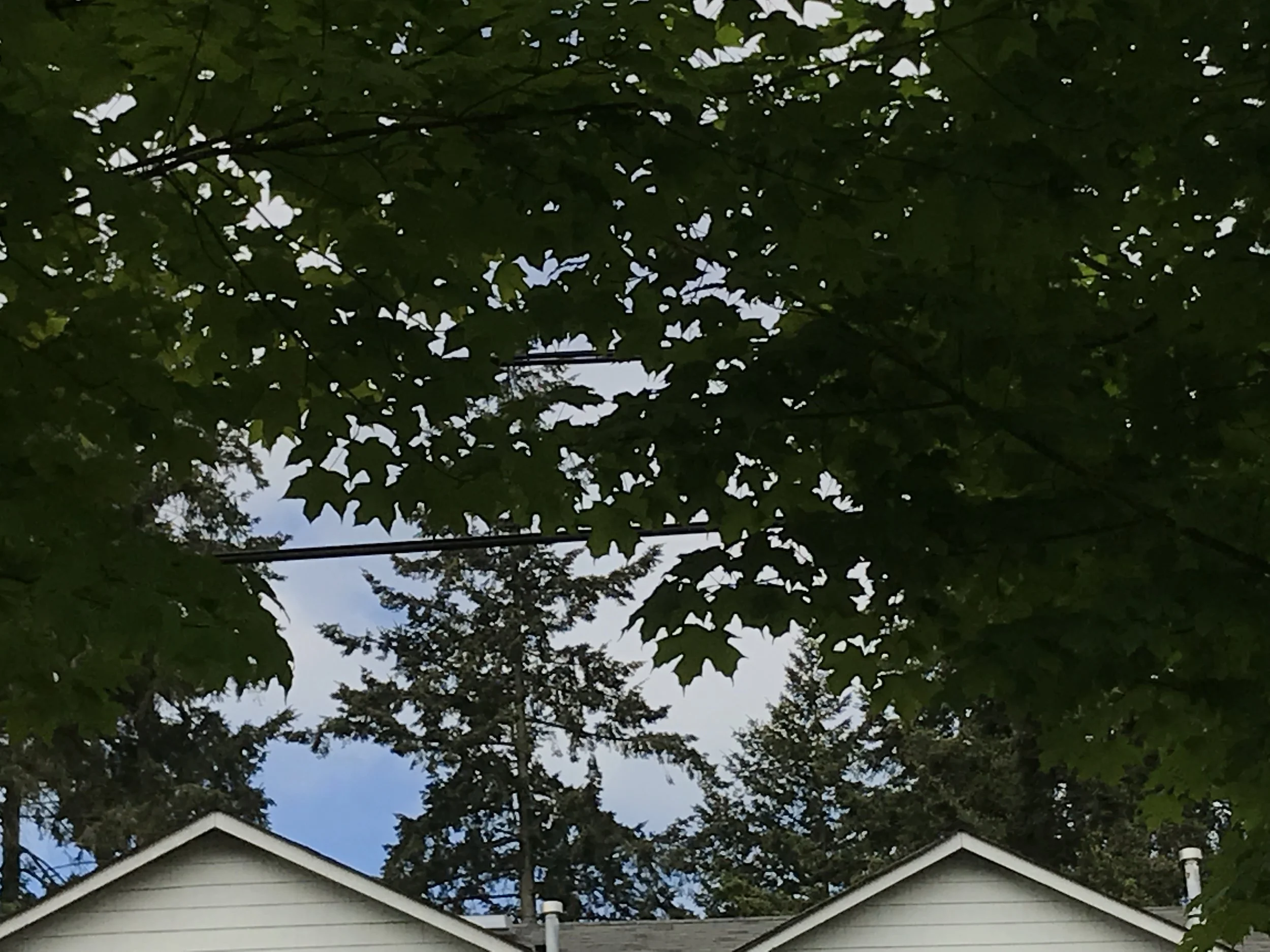 This morning's blue