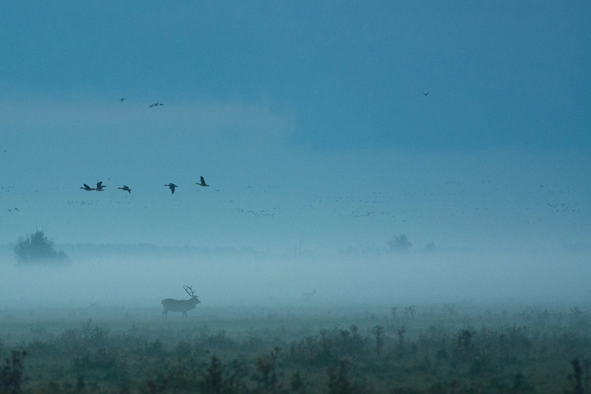photo credit vincent van zalinge / unsplash