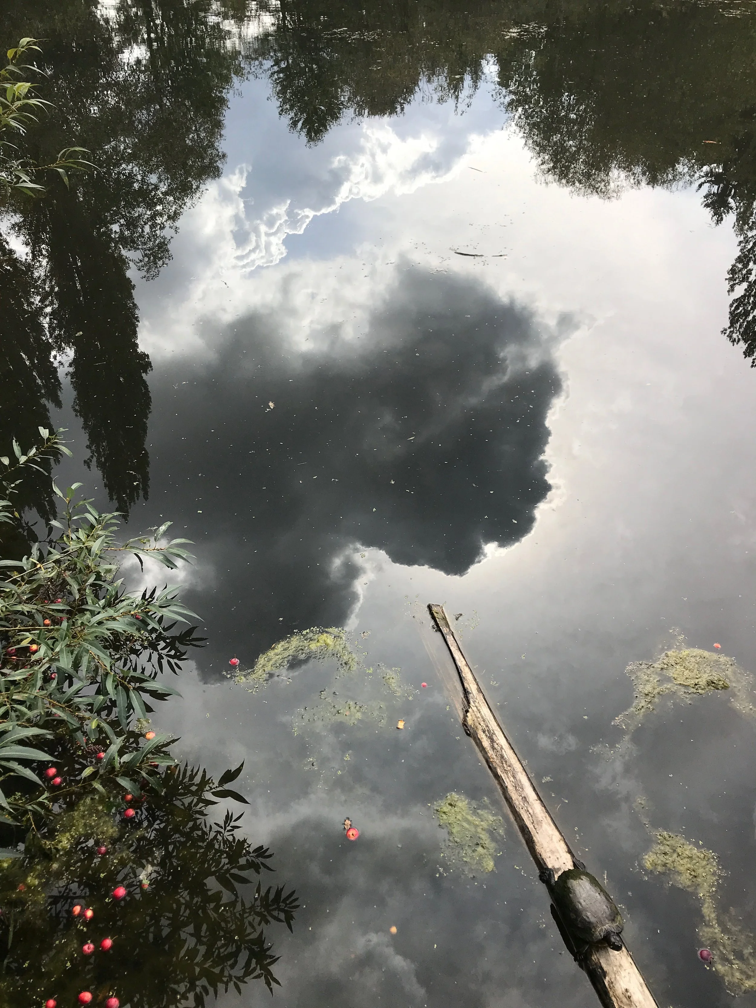 so acute in the heart: equinox 2019