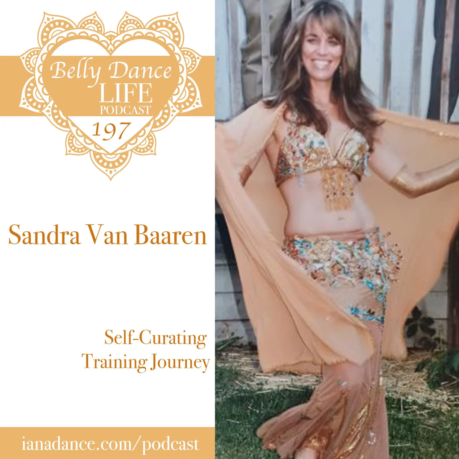 Self-Curating Training Journey - Student Voices w/ Sandra Van Baaren