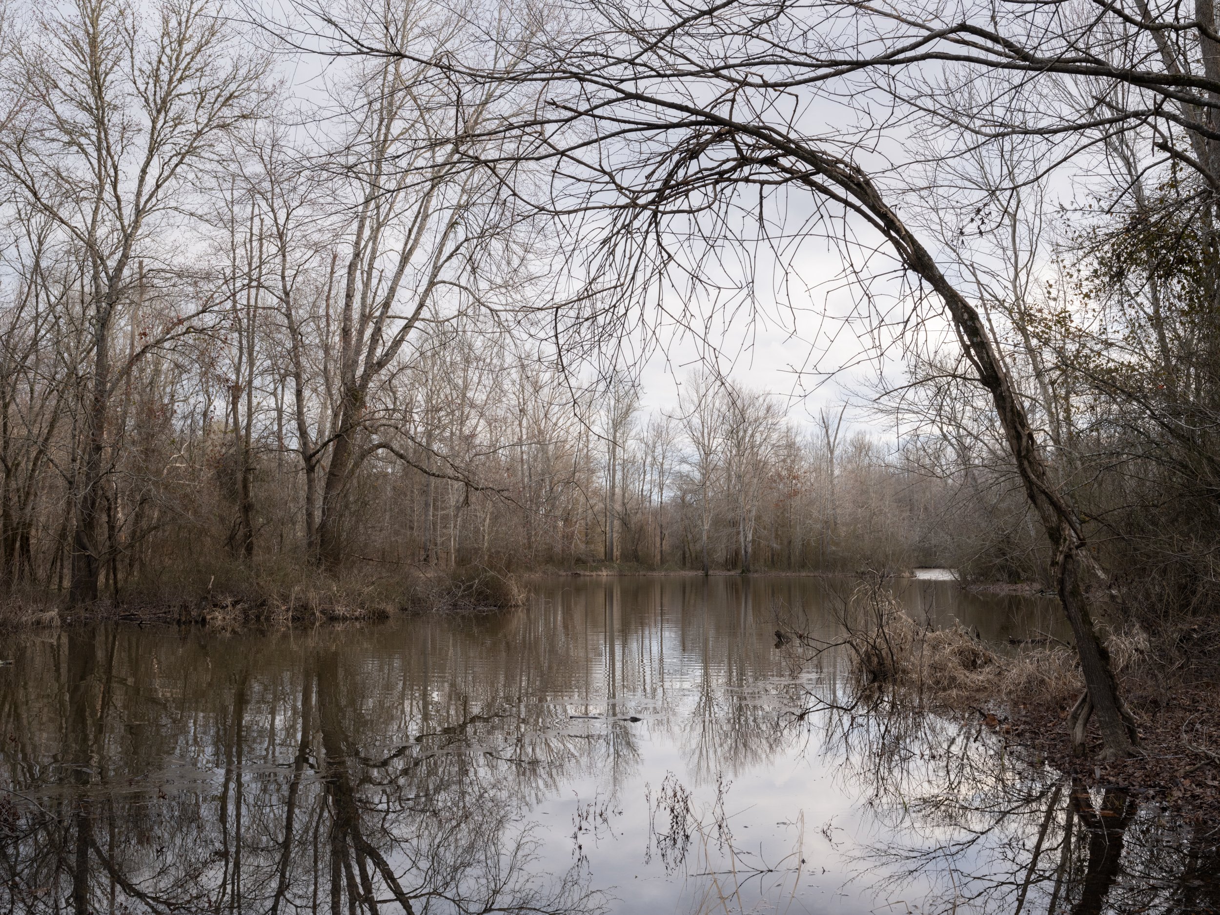 Flat River Alcove, Gameland, Durham, NC