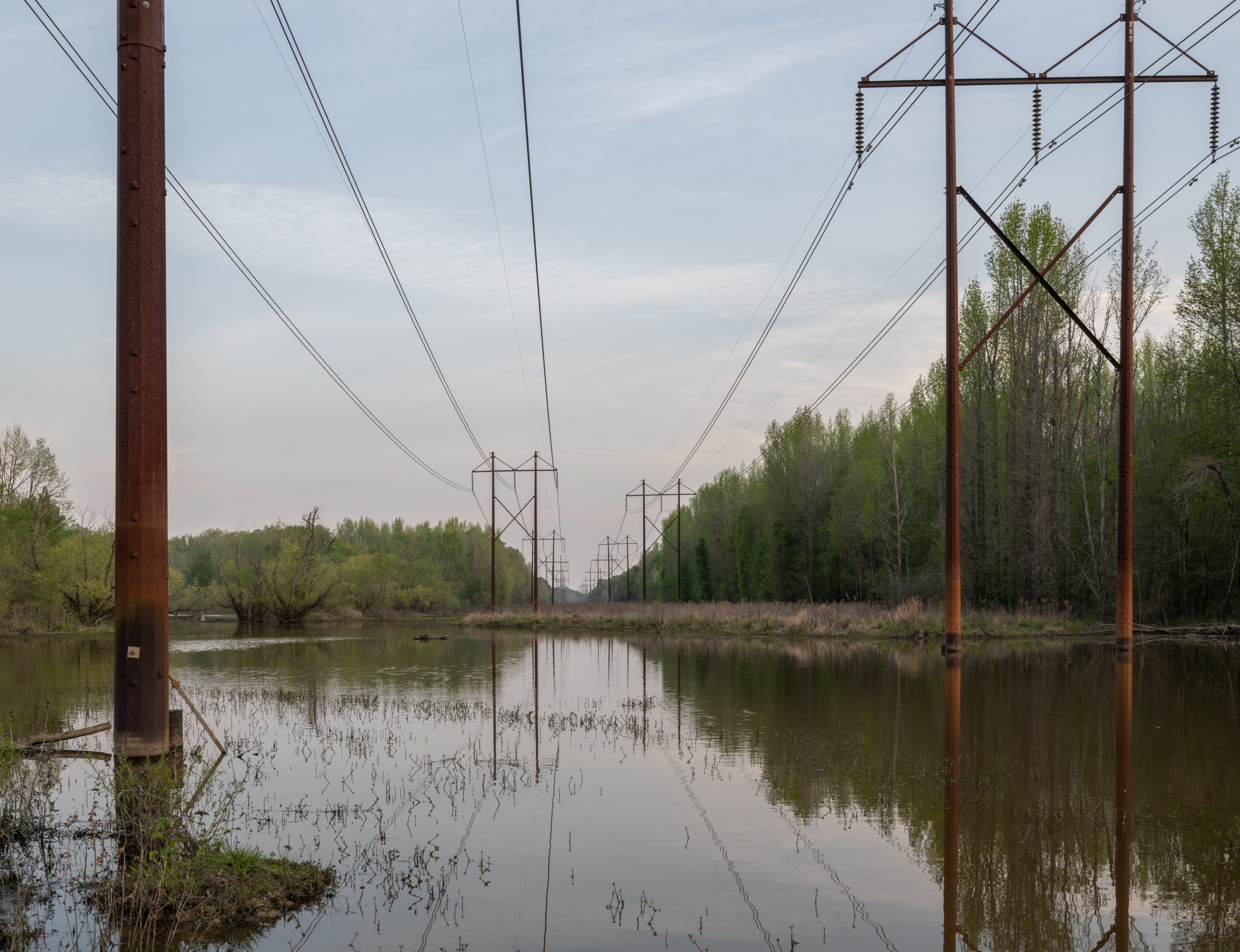 Power Lines, Waterfowl Impoundment, Durham, NC