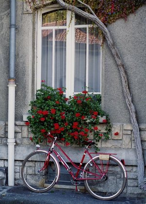 redbicycleu.jpg