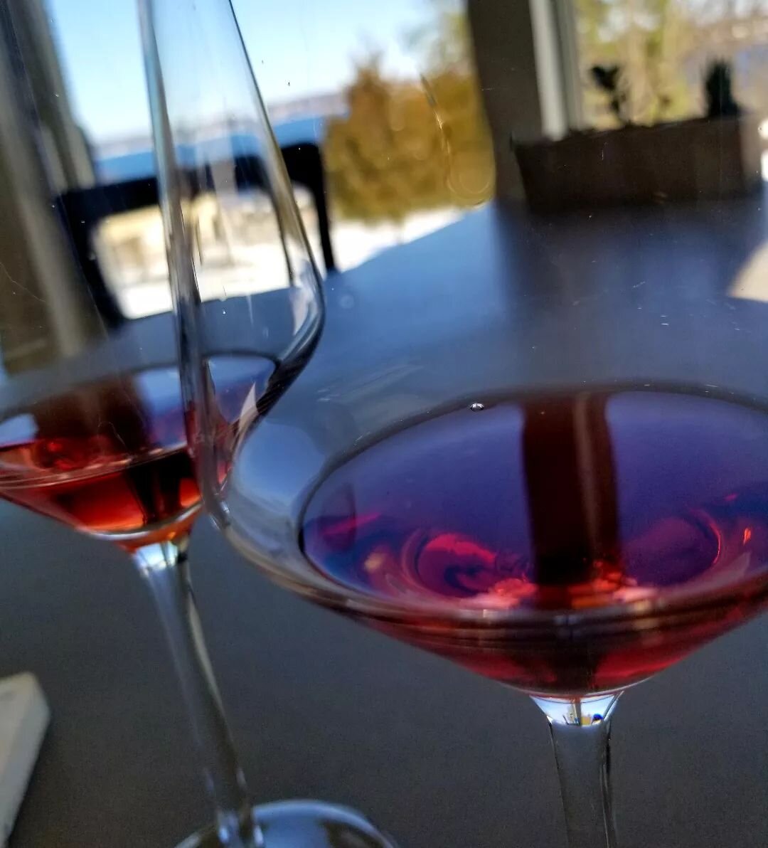Gorgeous day, so I took a little #roadtrip to the #flx to taste new-release #pinotnoir from @sixeightycellars The 2021(left) is light and bright with cherry/berry flavors, great for spring. The 2022 is medium-bodied, a litlle more intense with cherry
